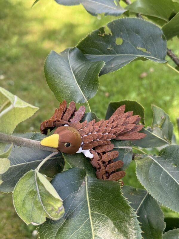 Jastrząb 3D – Pełen ruchu, wspaniały kolorowy ptak 3D, prezent, figurka, gadżet
