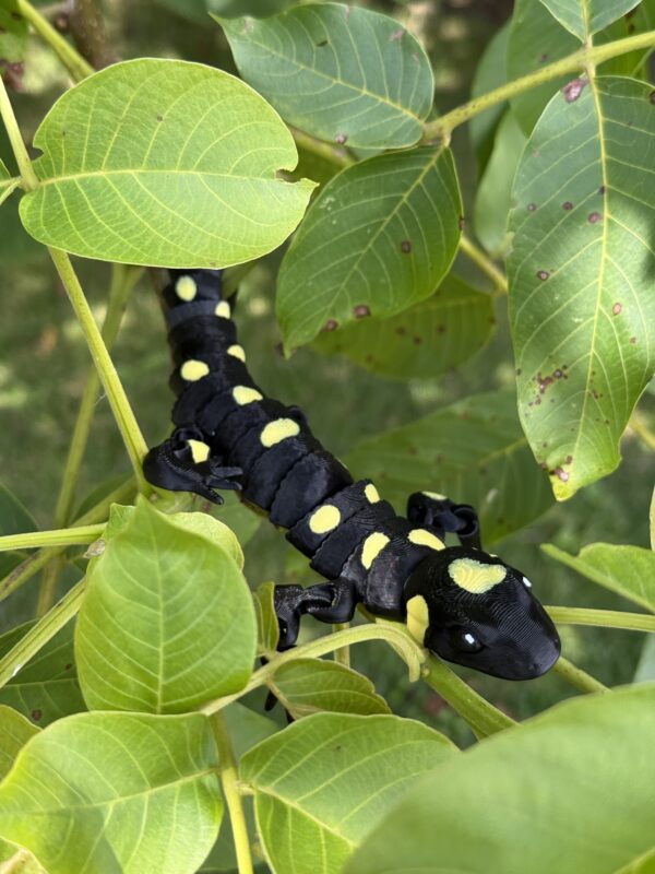 Salamandra Plamista 3D w pełni ruchoma, wysoka jakość detali, prezent, gadżet
