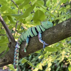 Kameleon przegubowa, ruchoma figurka, prezent, gadżet