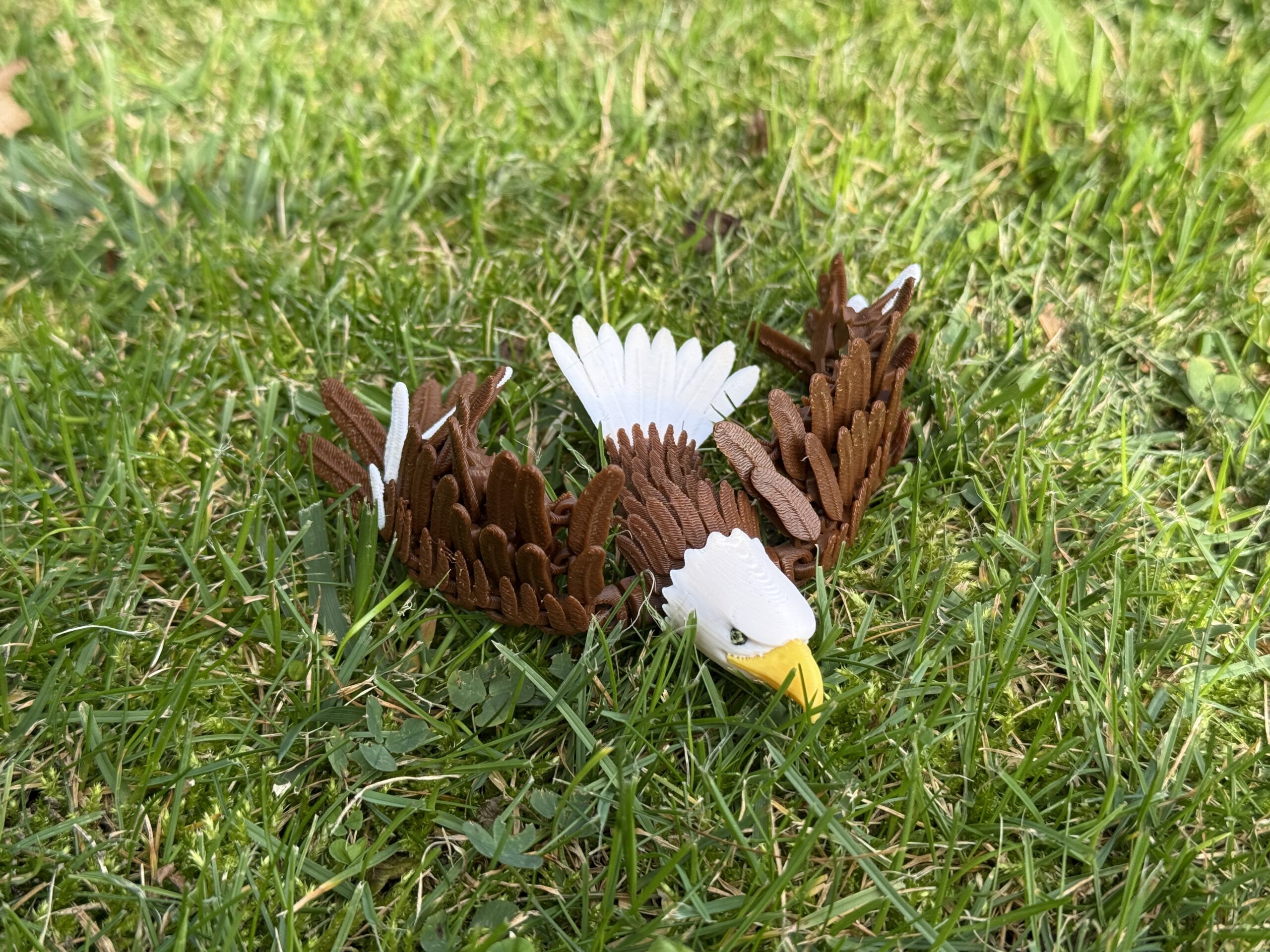 Orzeł przegubowy 3D – realistyczna ruchoma figura, zabawka antystresowa, ozdoba - obrazek 15