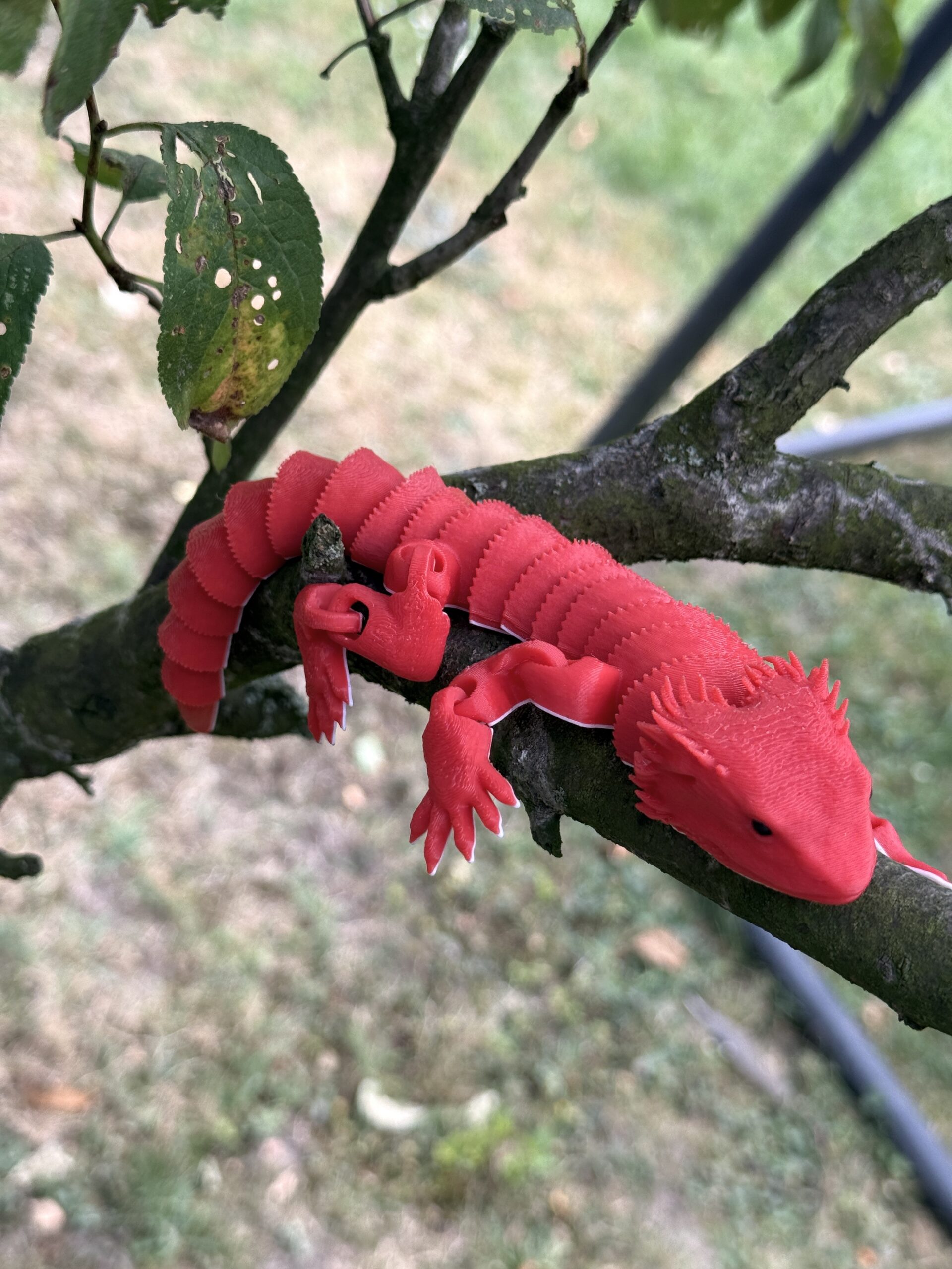 Agama Czerwona - figurka przegubowa, zabawka antystresowa, prezent - obrazek 5