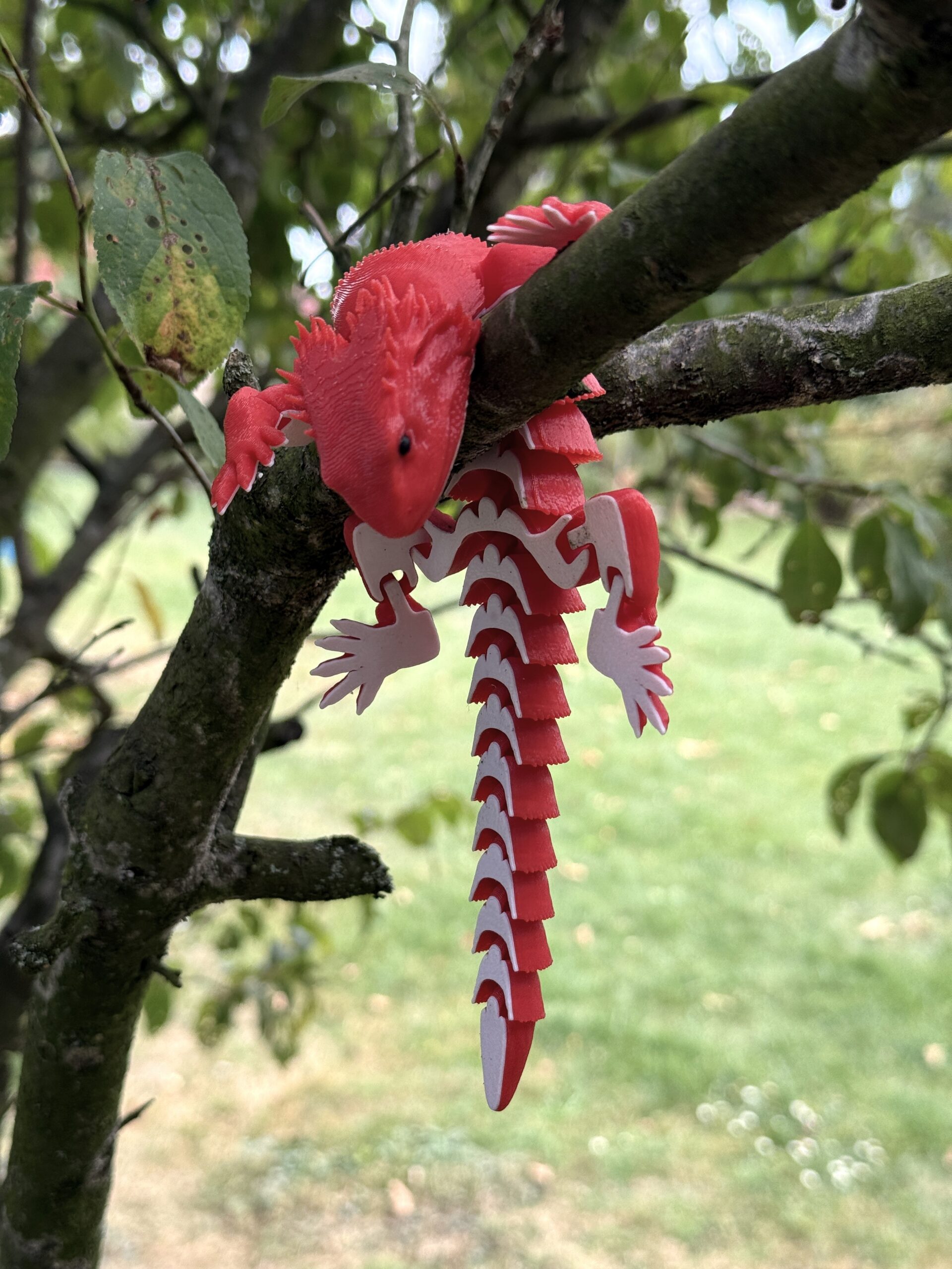 Agama Czerwona - figurka przegubowa, zabawka antystresowa, prezent - obrazek 8