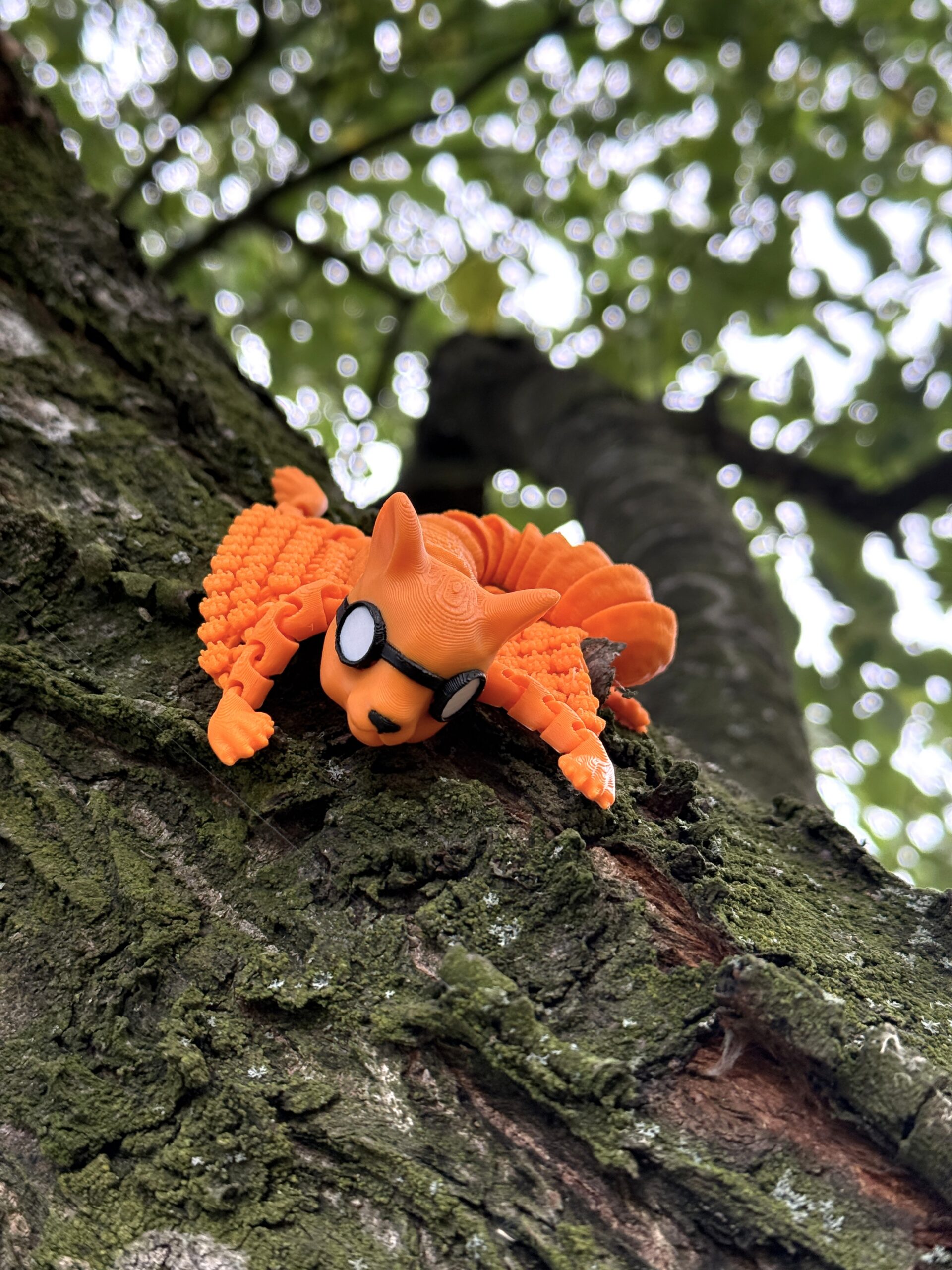 Wiewiórka pilot 3D – antystresowy gadżet do zabawy, ruchoma figurka, zabawka - obrazek 2