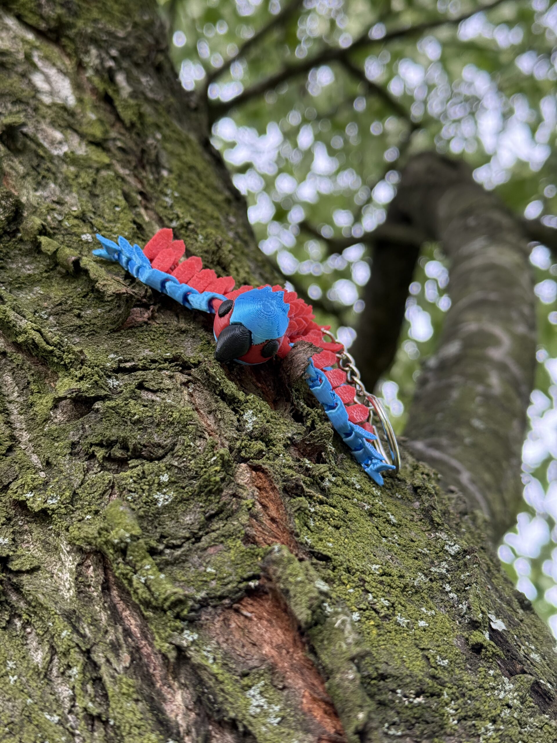 Papuga Ara 3D – przegubowy brelok, ruchoma figurka, zabawka - obrazek 5