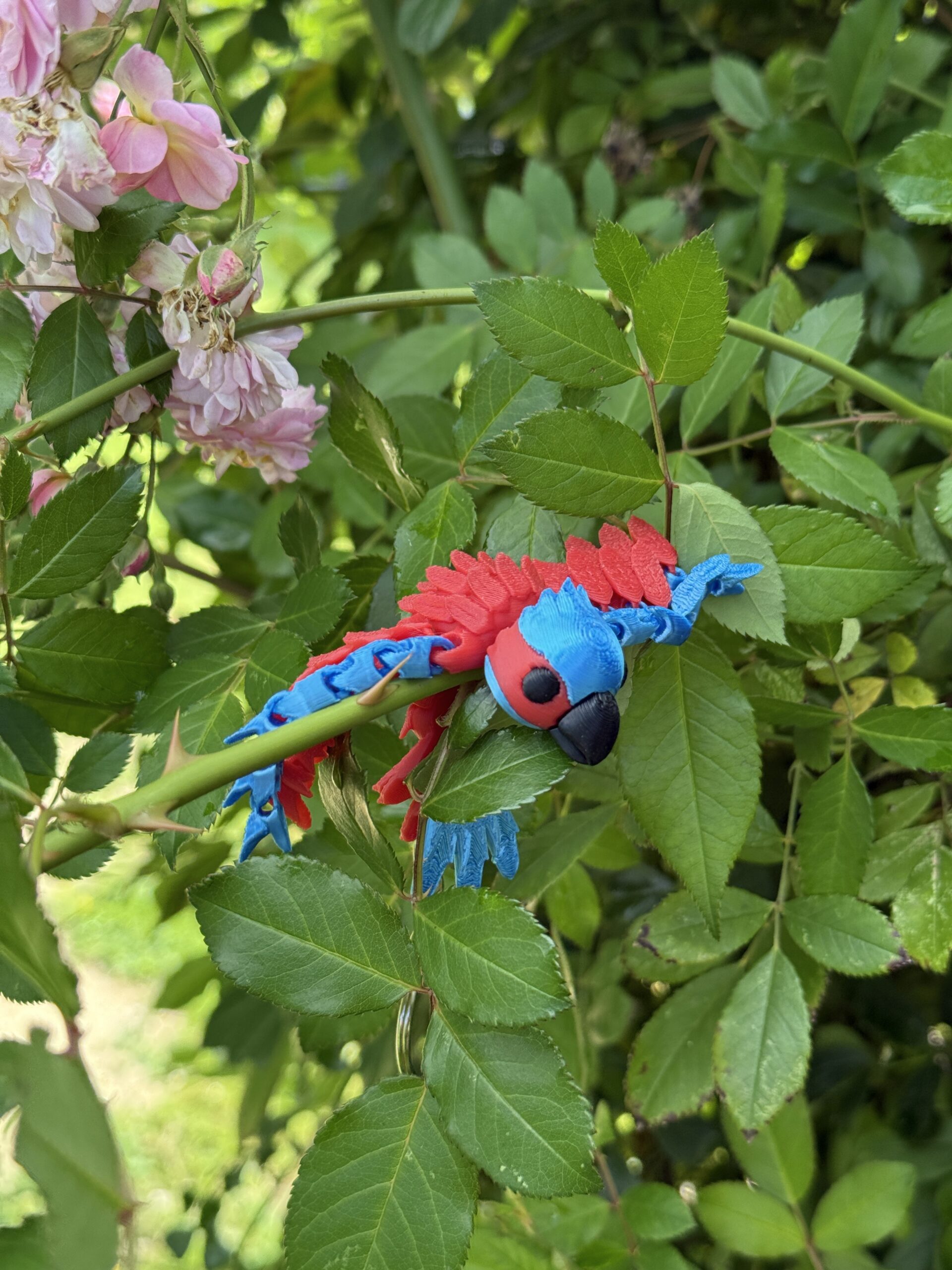 Papuga Ara 3D – przegubowy brelok, ruchoma figurka, zabawka - obrazek 10