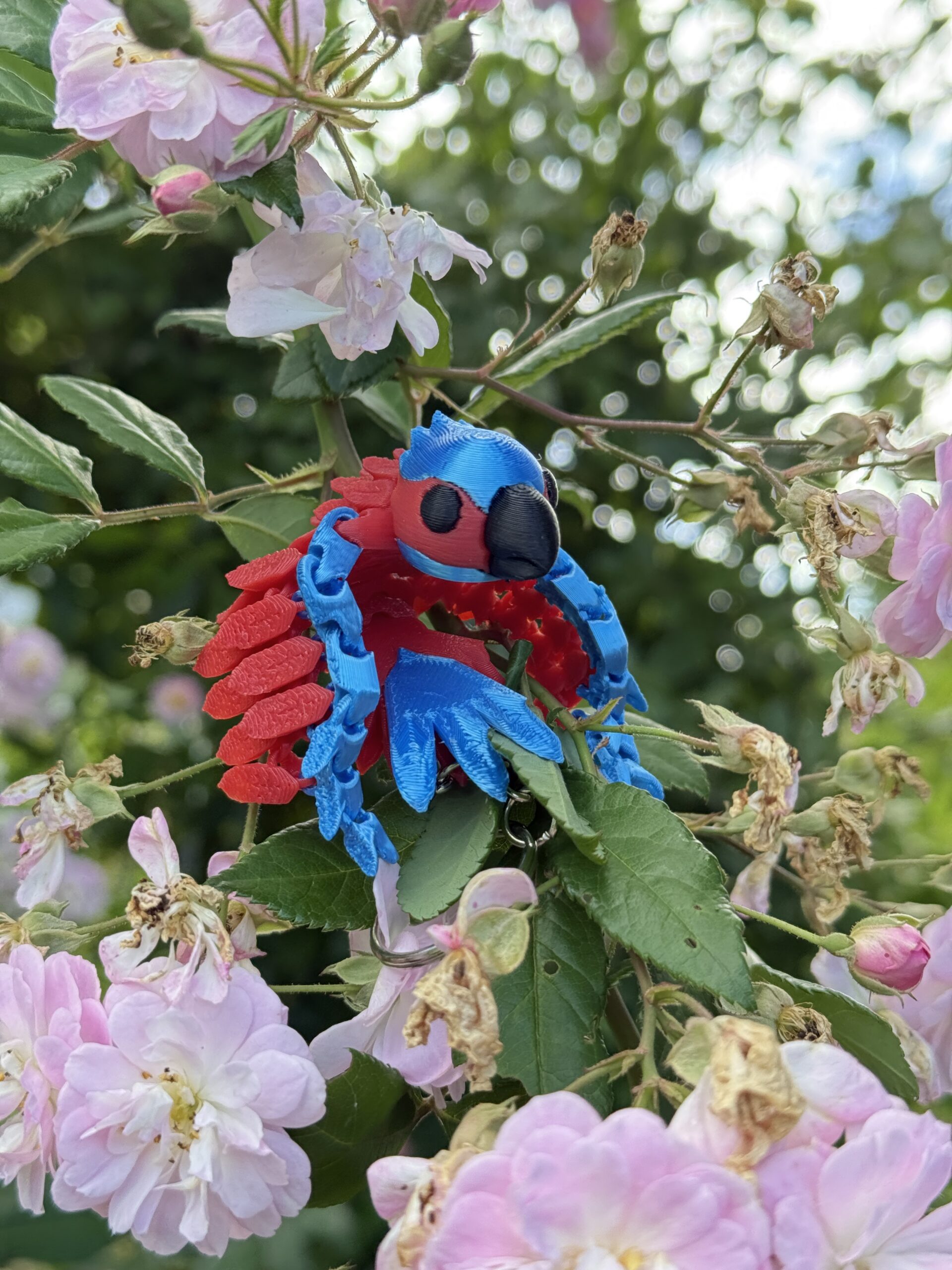 Papuga Ara 3D – przegubowy brelok, ruchoma figurka, zabawka - obrazek 12