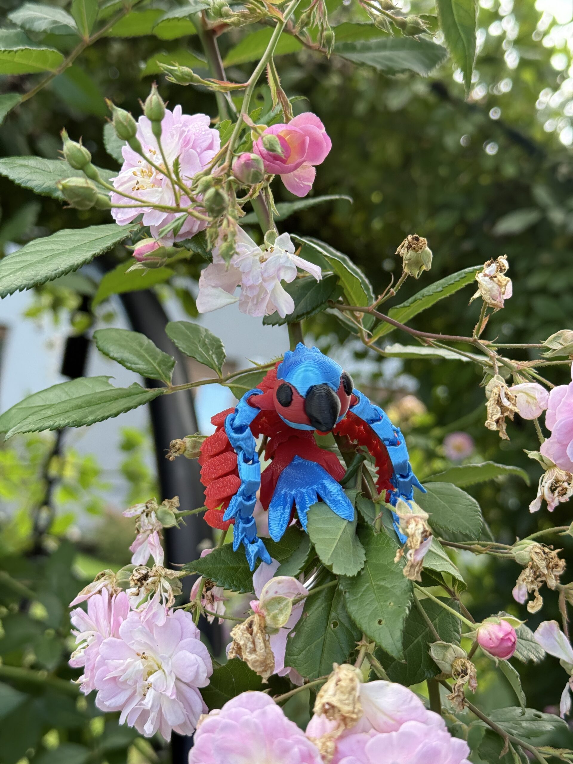 Papuga Ara 3D – przegubowy brelok, ruchoma figurka, zabawka - obrazek 13