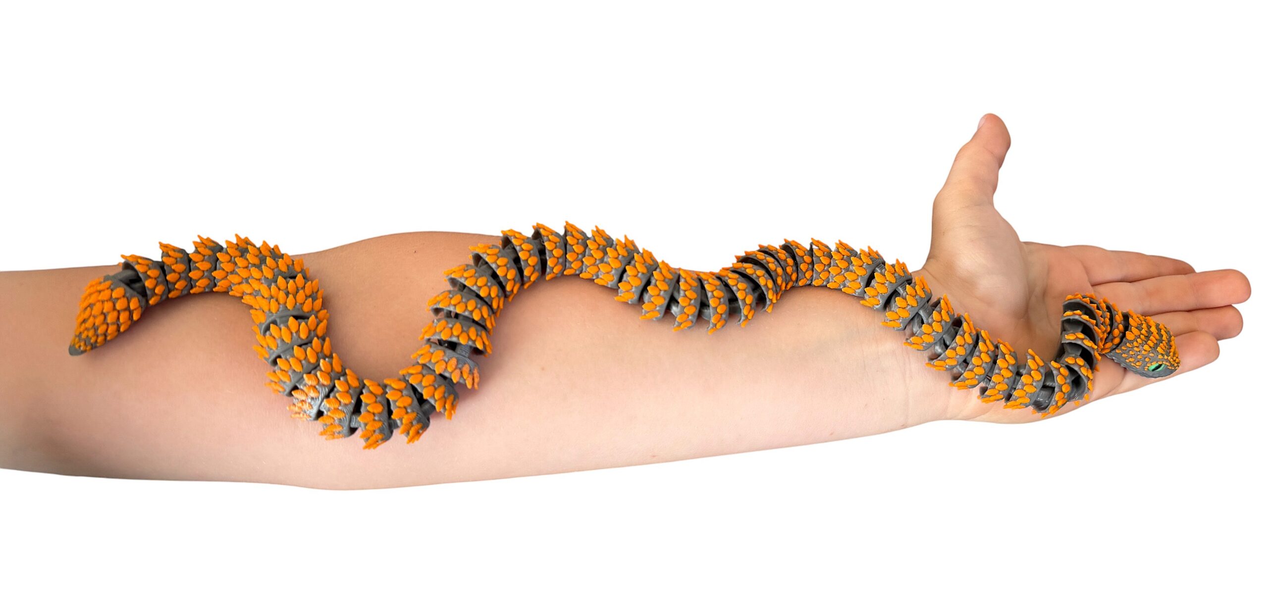 Żmija Kolczasta 3D – 500 mm elastycznej mocy i setki detali, zabawka, prezent - obrazek 2
