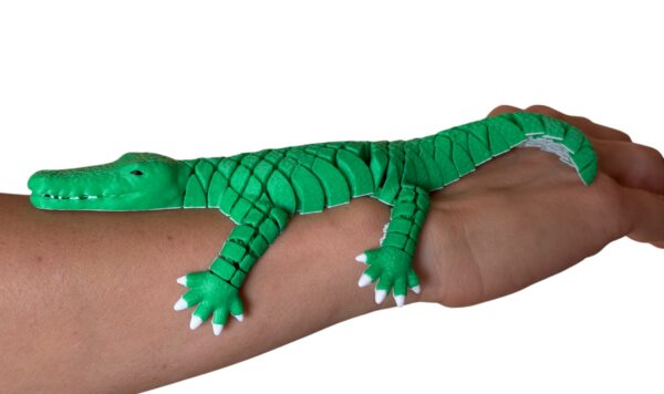 Krokodyl 3D – figurka segmentowa, zabawka antystresowa, prezent - obrazek 12