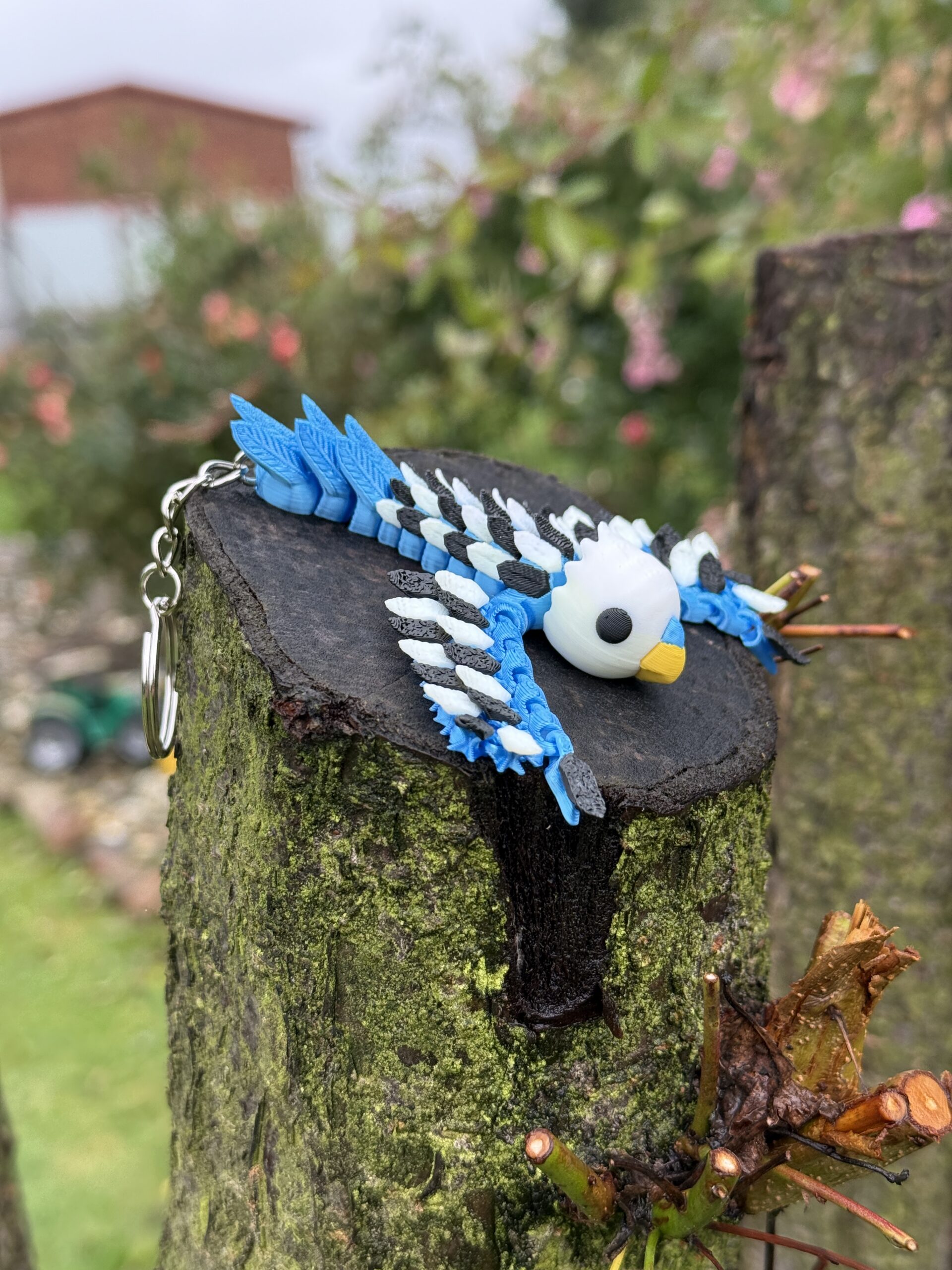 Papużka, Papuga Falista 3D – przegubowy brelok i mini figurka, zabawka, ozdoba - obrazek 3