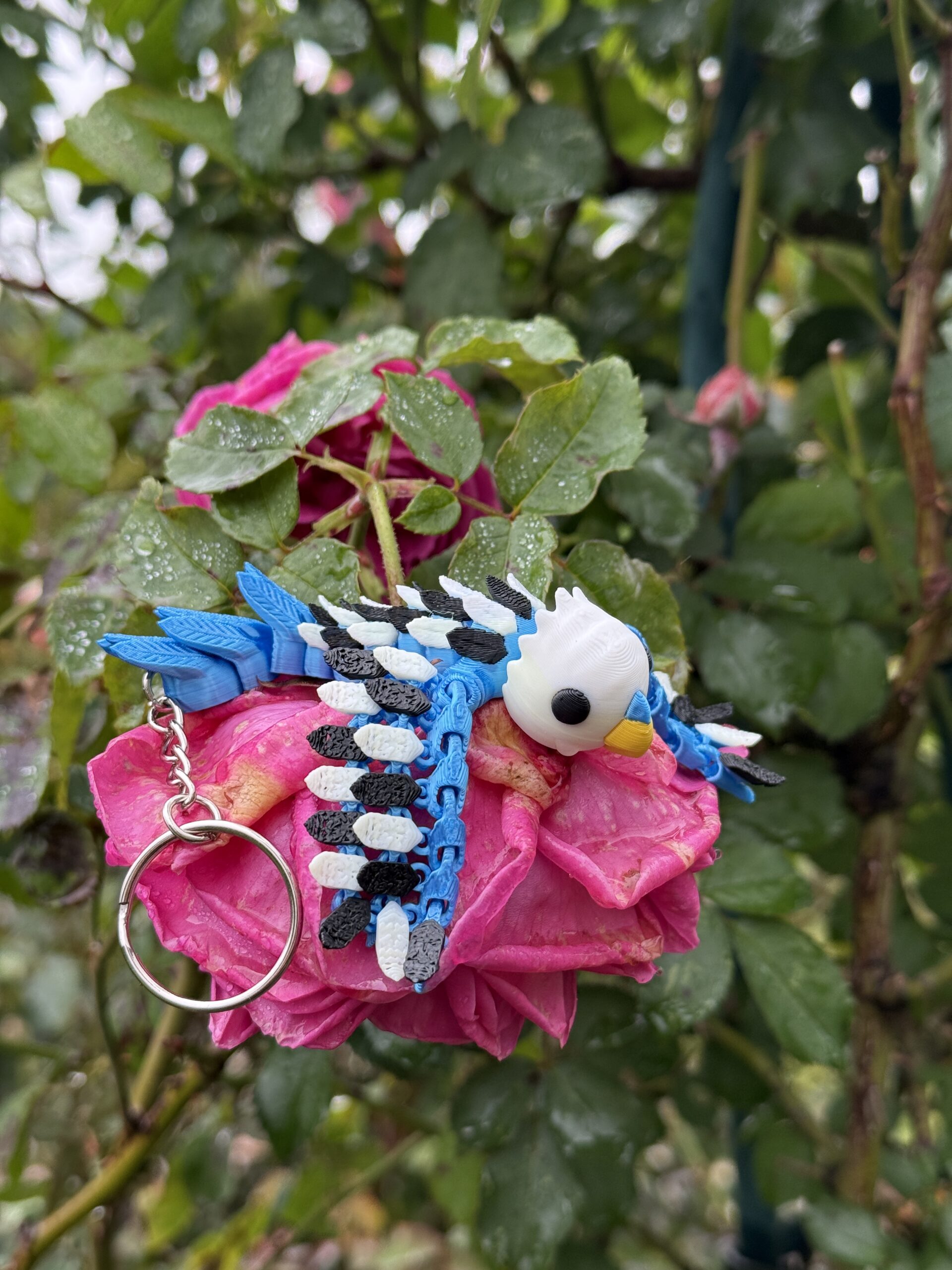 Papużka, Papuga Falista 3D – przegubowy brelok i mini figurka, zabawka, ozdoba - obrazek 5