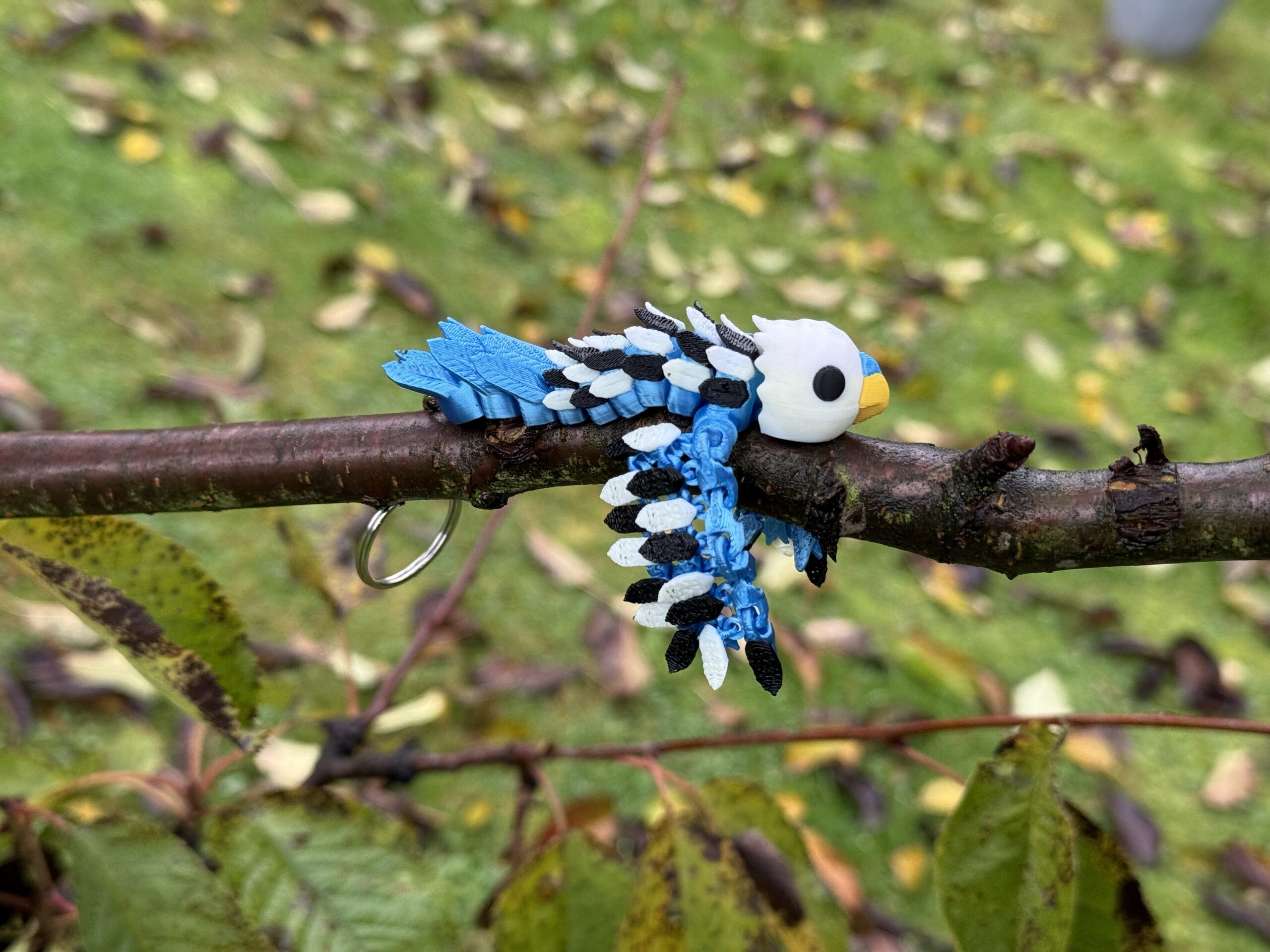 Papużka, Papuga Falista 3D – przegubowy brelok i mini figurka, zabawka, ozdoba - obrazek 8