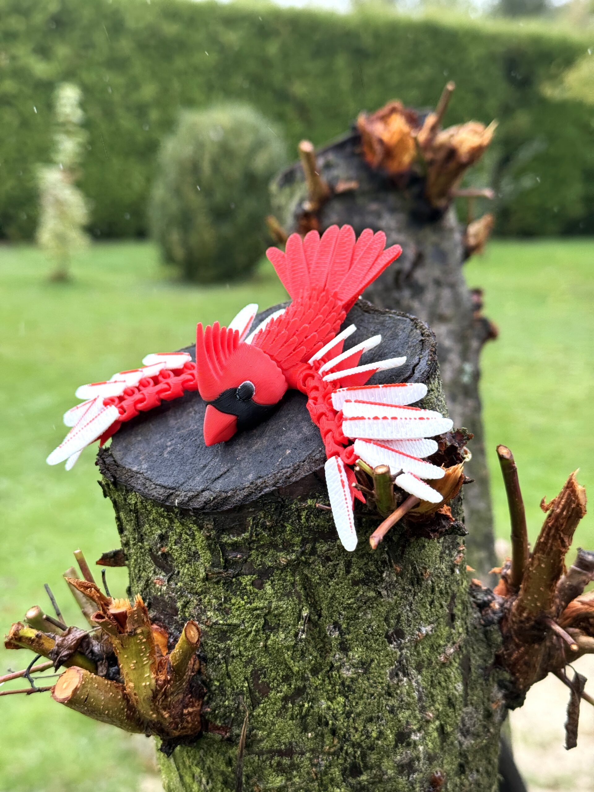 Kardynał Szkarłatny 3D – przegubowa figurka i brelok pełen elegancji, zabawka, ozdoba - obrazek 6