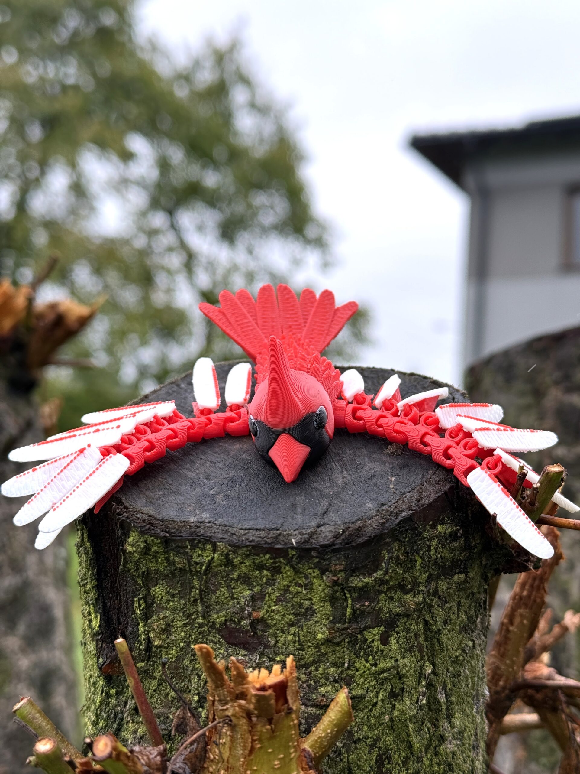 Kardynał Szkarłatny 3D – przegubowa figurka i brelok pełen elegancji, zabawka, ozdoba - obrazek 7