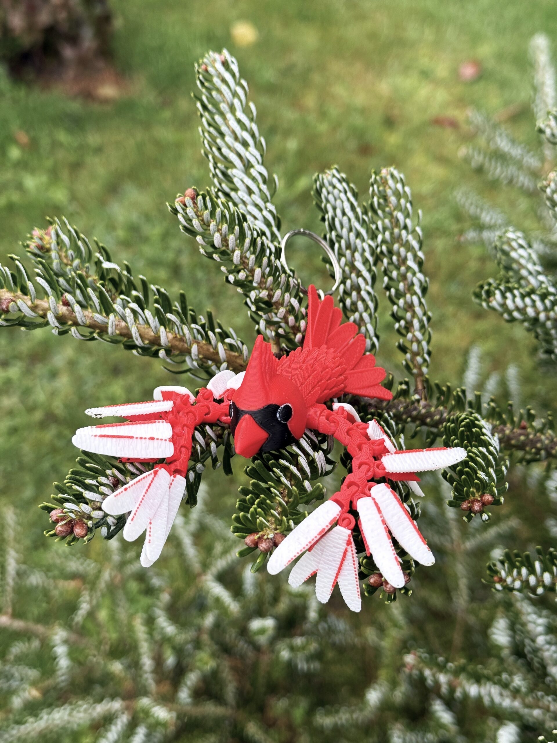 Kardynał Szkarłatny 3D – przegubowa figurka i brelok pełen elegancji, zabawka, ozdoba - obrazek 10