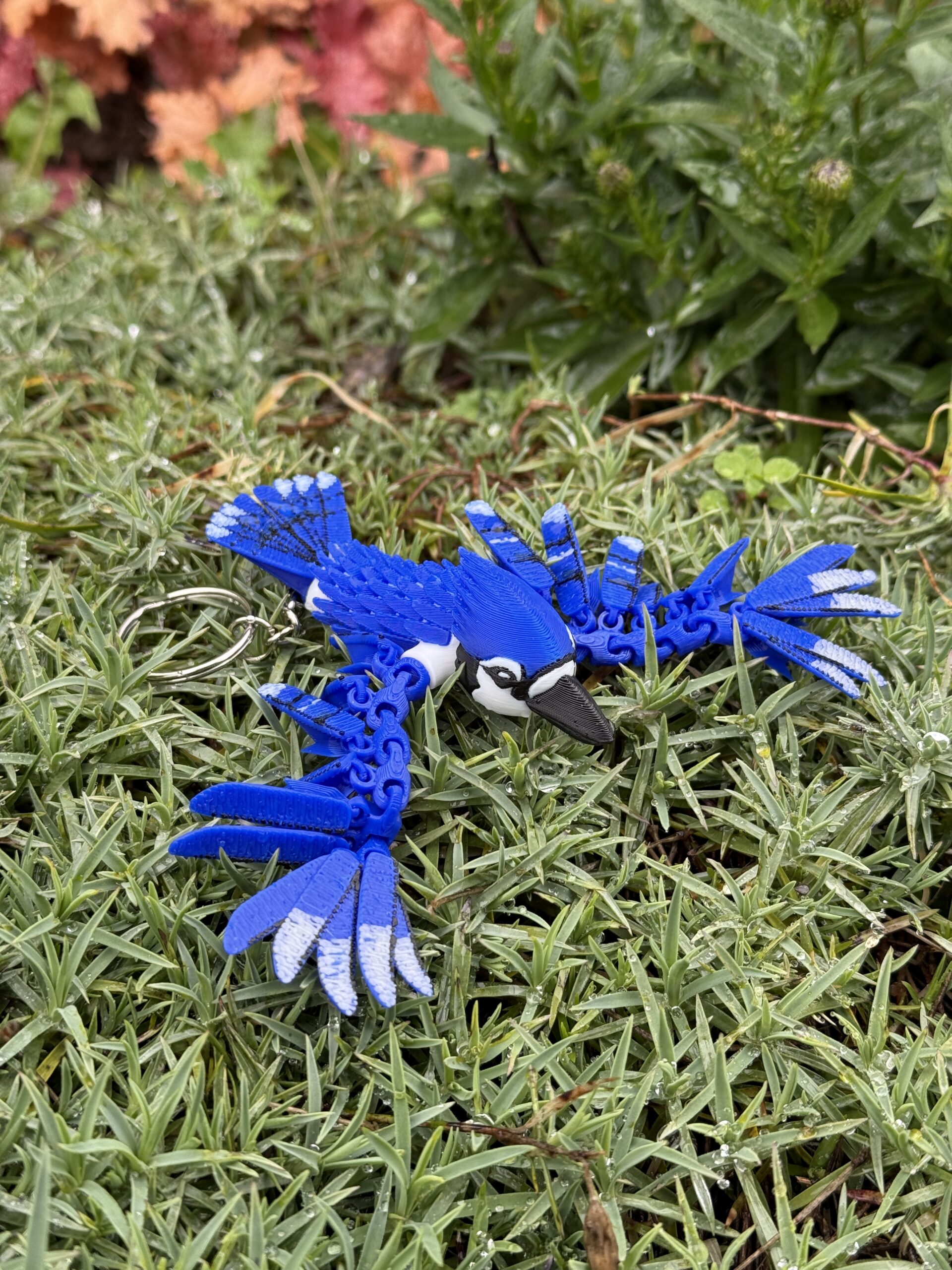 Sójka Niebieska 3D – przegubowa figurka i brelok pełen koloru, zabawka, ozdoba - obrazek 4