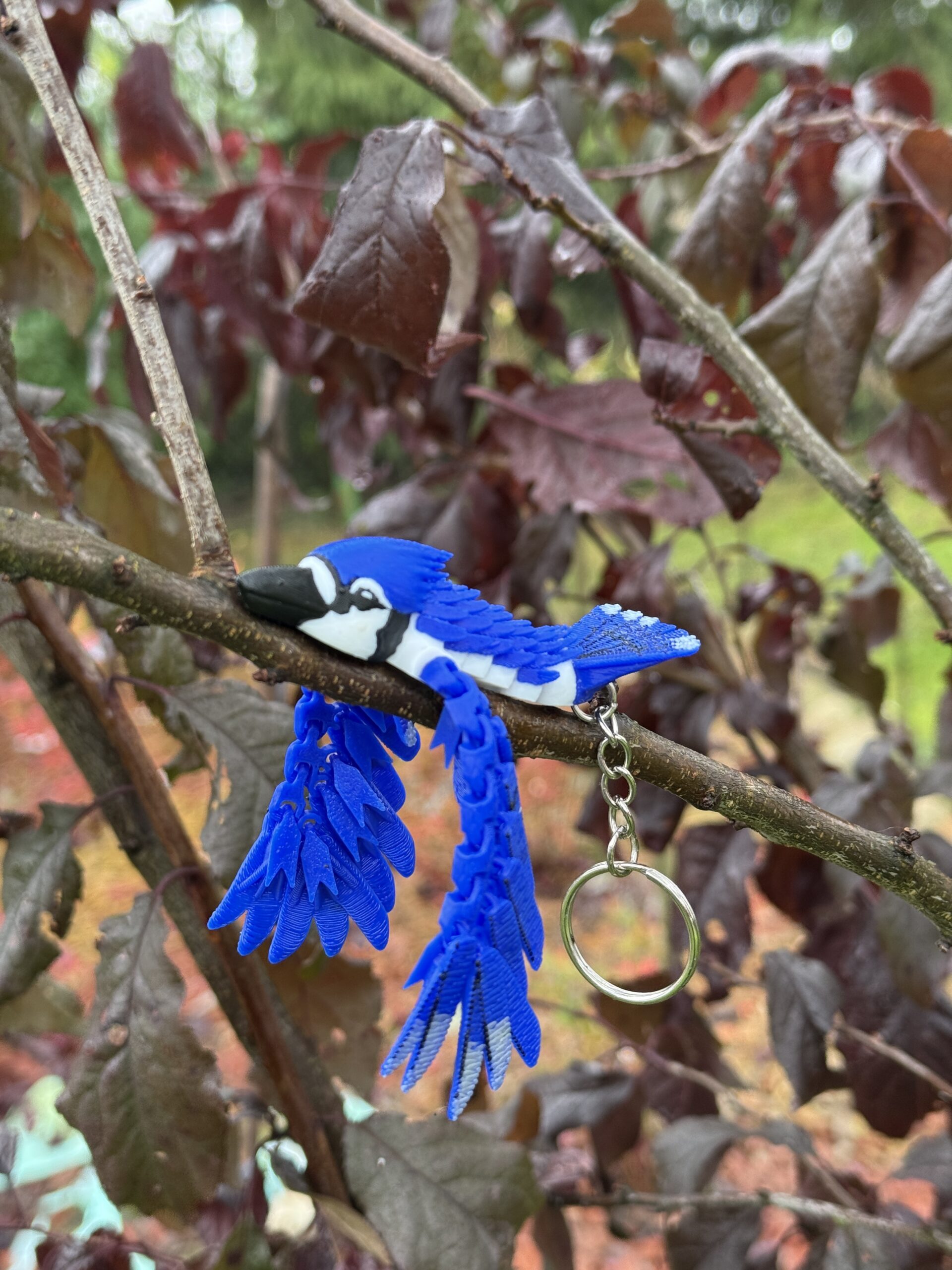 Sójka Niebieska 3D – przegubowa figurka i brelok pełen koloru, zabawka, ozdoba - obrazek 7