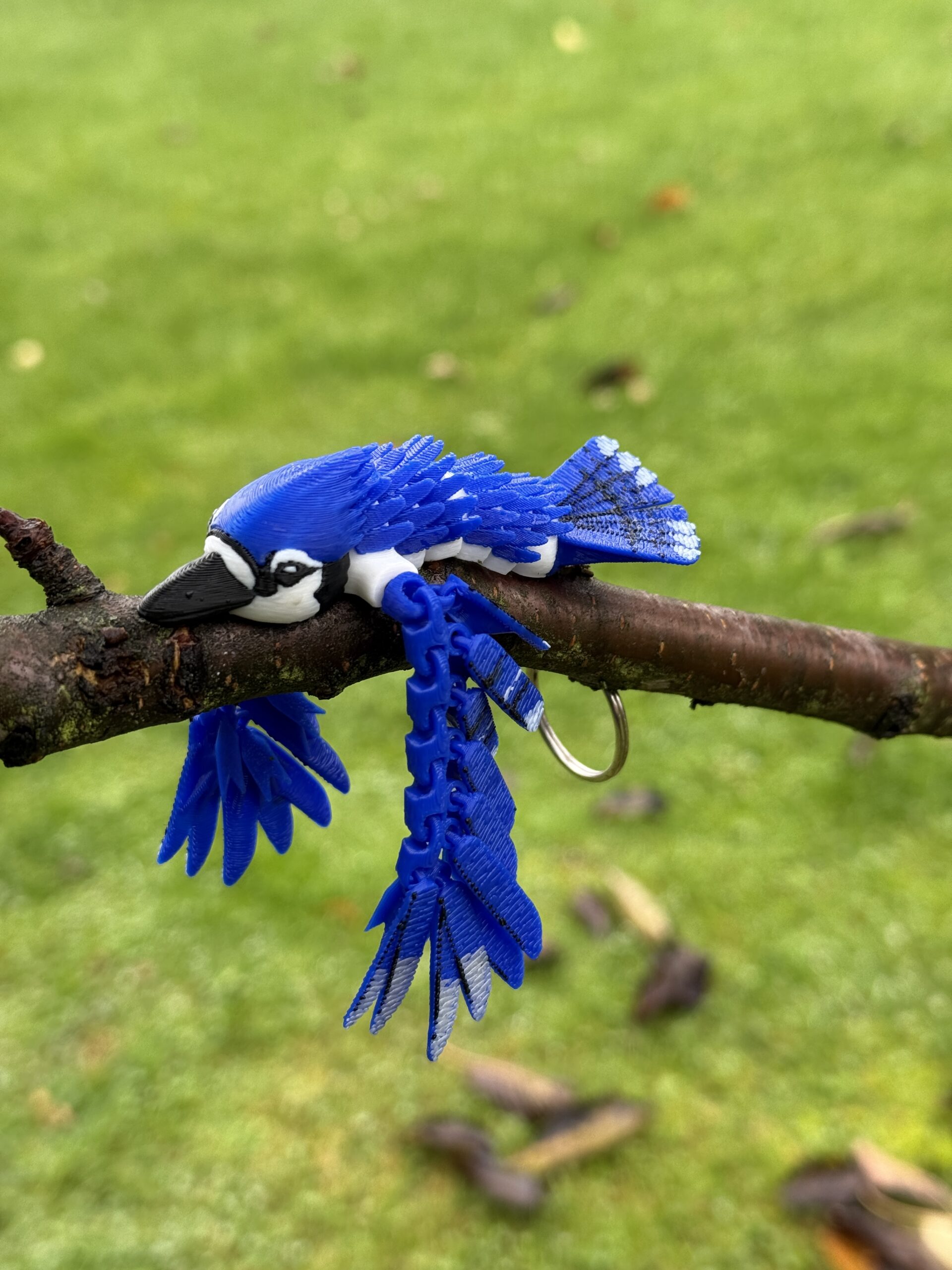 Sójka Niebieska 3D – przegubowa figurka i brelok pełen koloru, zabawka, ozdoba - obrazek 8