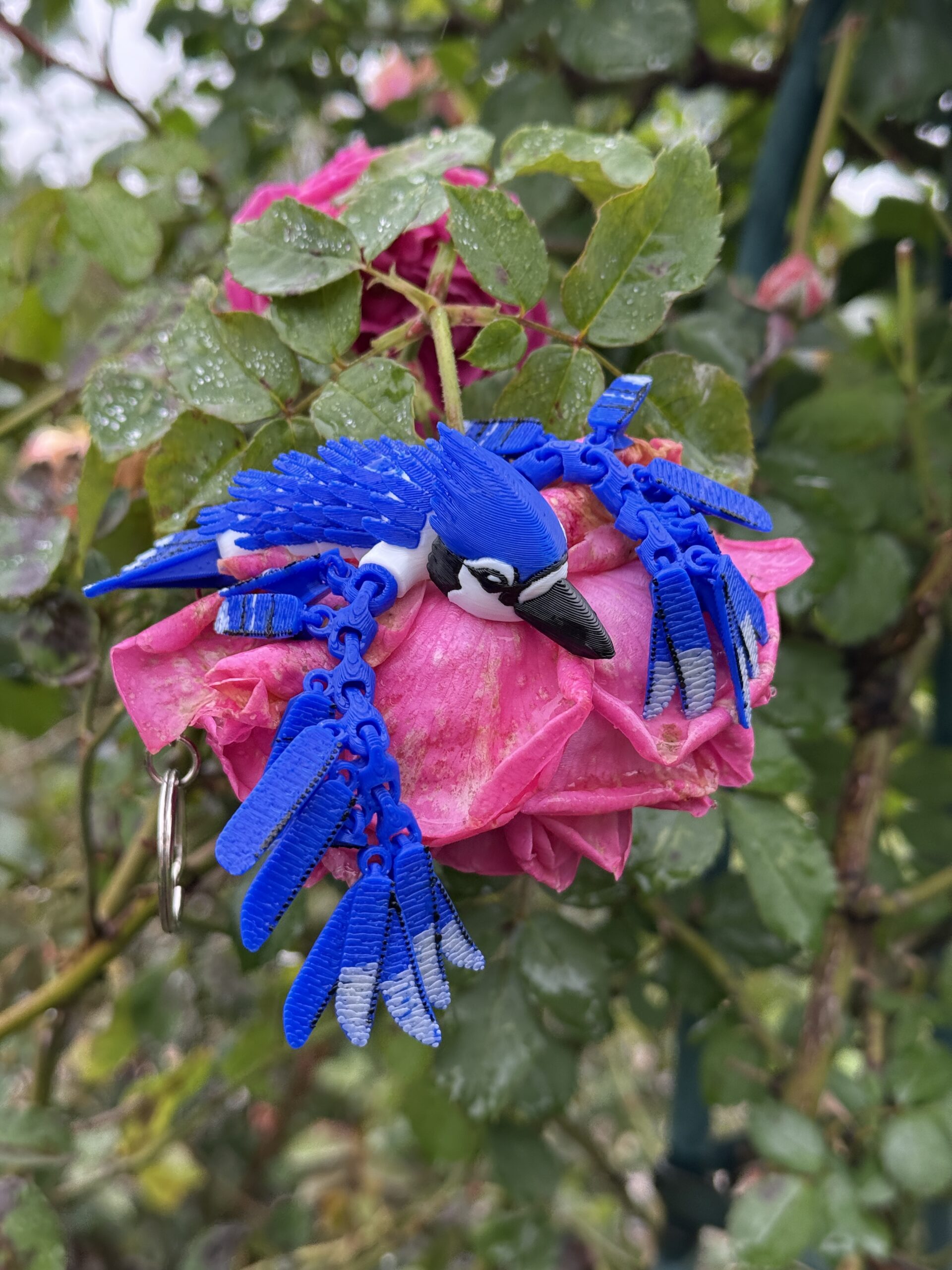 Sójka Niebieska 3D – przegubowa figurka i brelok pełen koloru, zabawka, ozdoba - obrazek 9