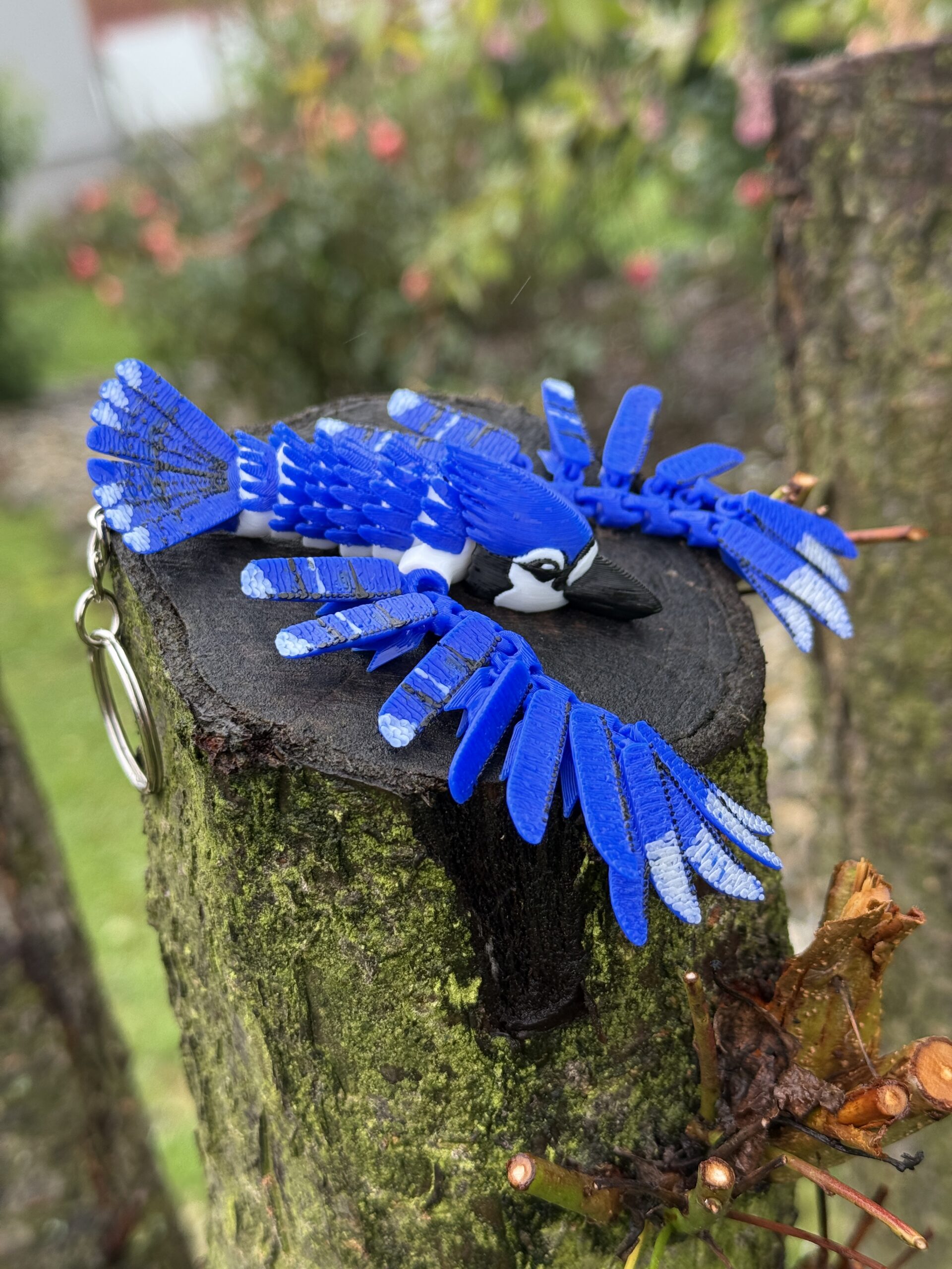 Sójka Niebieska 3D – przegubowa figurka i brelok pełen koloru, zabawka, ozdoba - obrazek 10