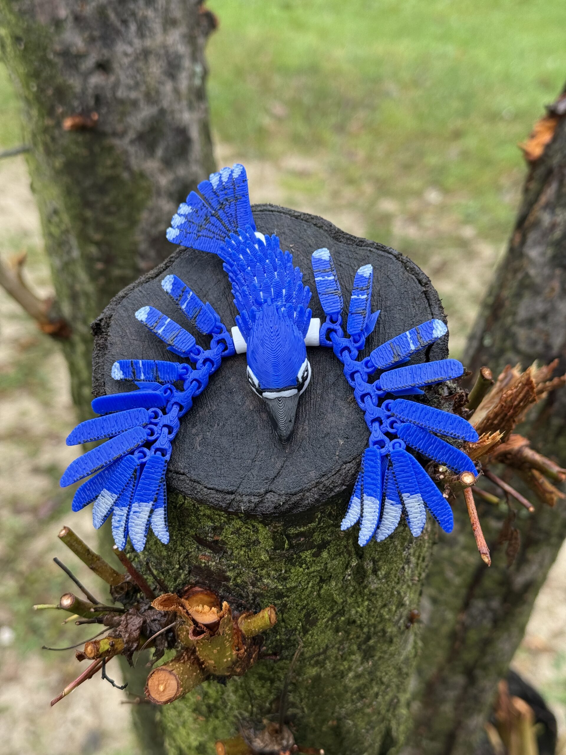 Sójka Niebieska 3D – przegubowa figurka i brelok pełen koloru, zabawka, ozdoba - obrazek 11