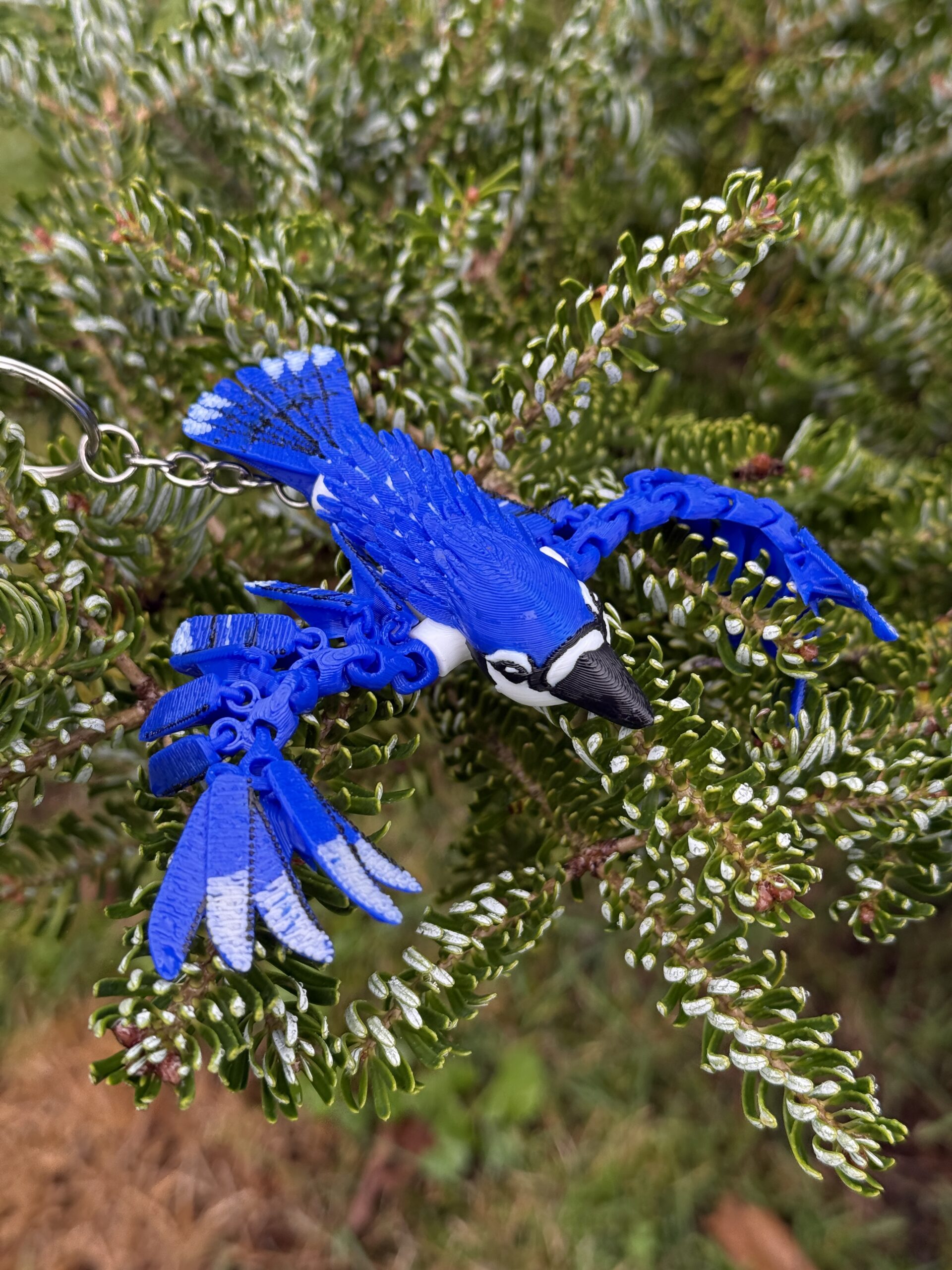 Sójka Niebieska 3D – przegubowa figurka i brelok pełen koloru, zabawka, ozdoba - obrazek 12