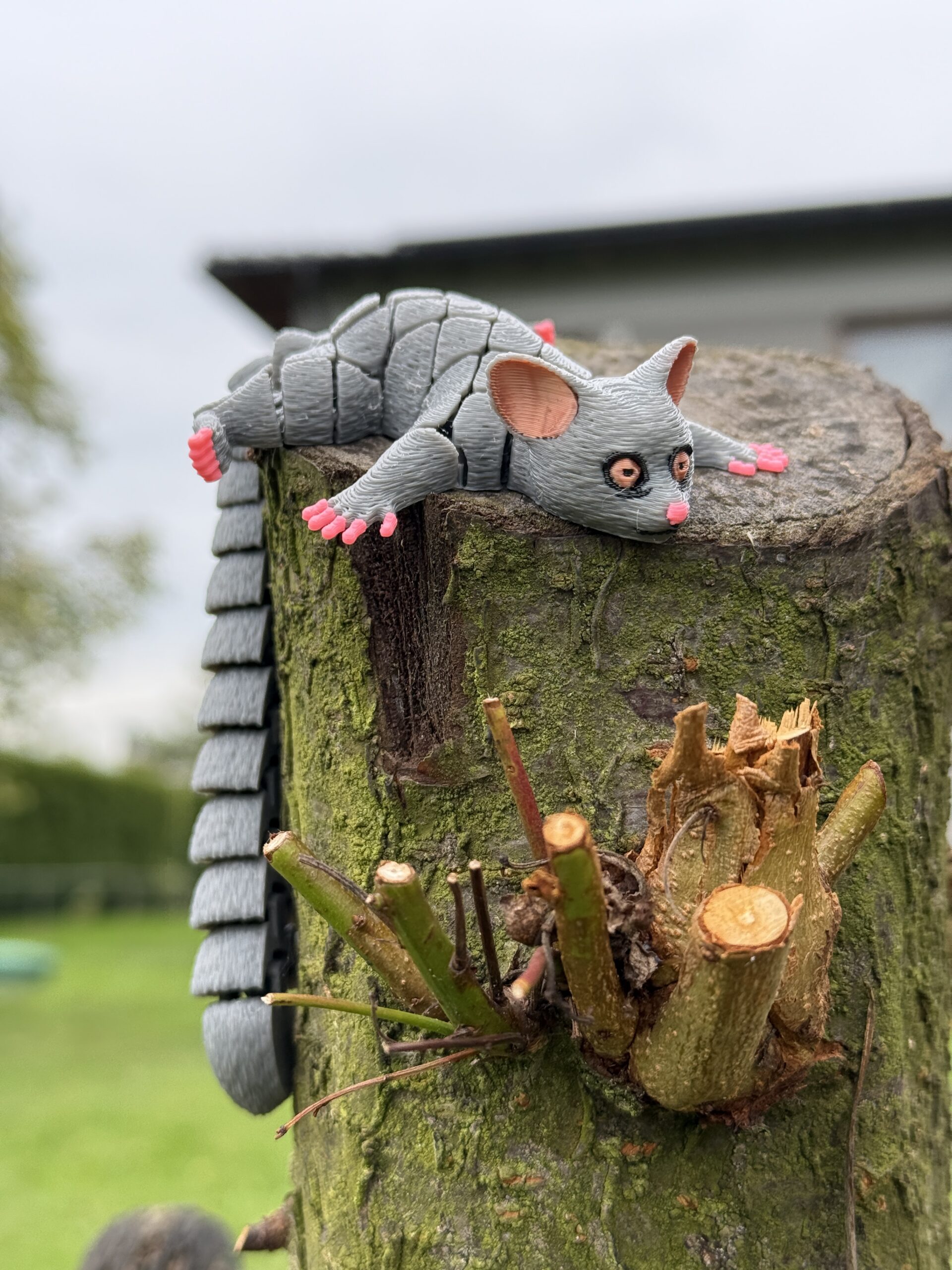 Galago segmentowy 3D – nocny skoczek z dżungli, ruchoma zabawka, prezent - obrazek 13