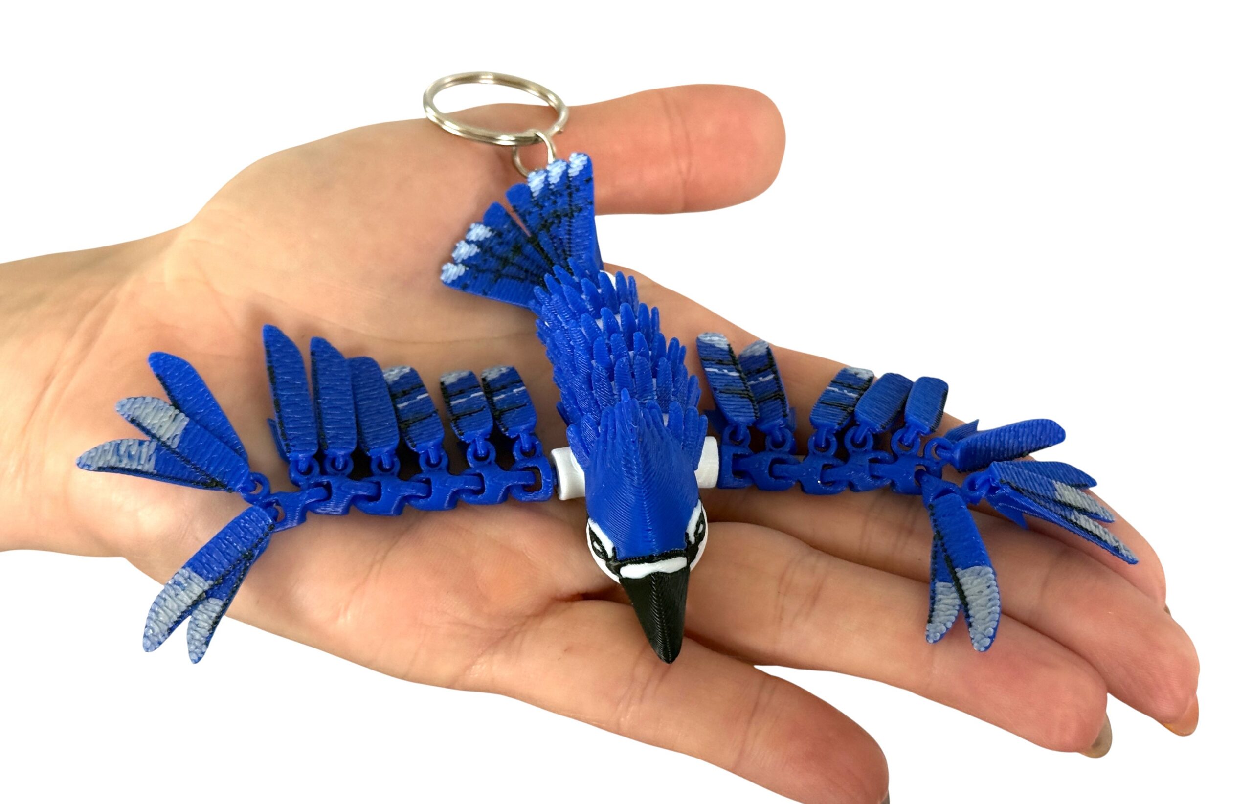 Sójka Niebieska 3D – przegubowa figurka i brelok pełen koloru, zabawka, ozdoba - obrazek 3