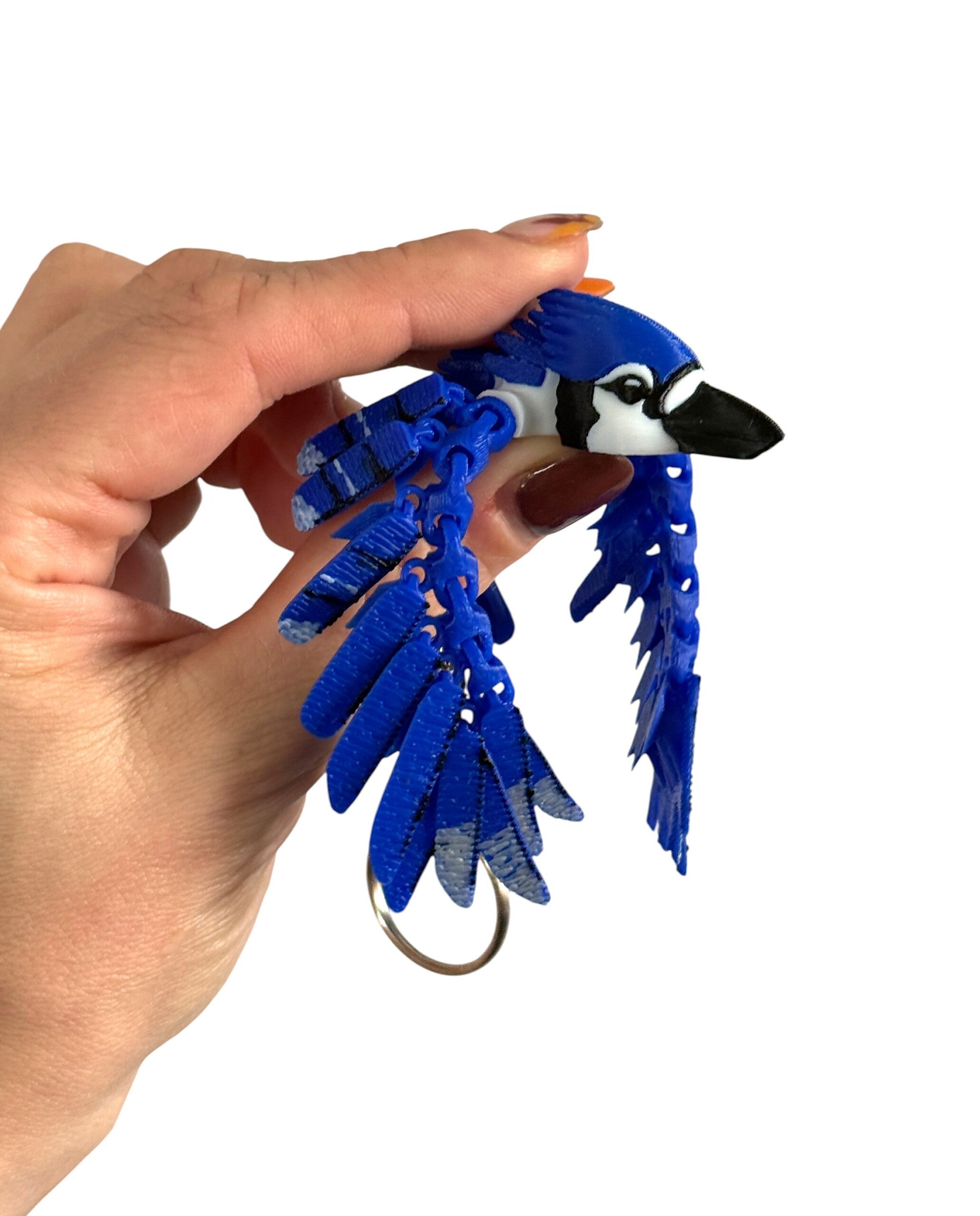 Sójka Niebieska 3D – przegubowa figurka i brelok pełen koloru, zabawka, ozdoba - obrazek 16