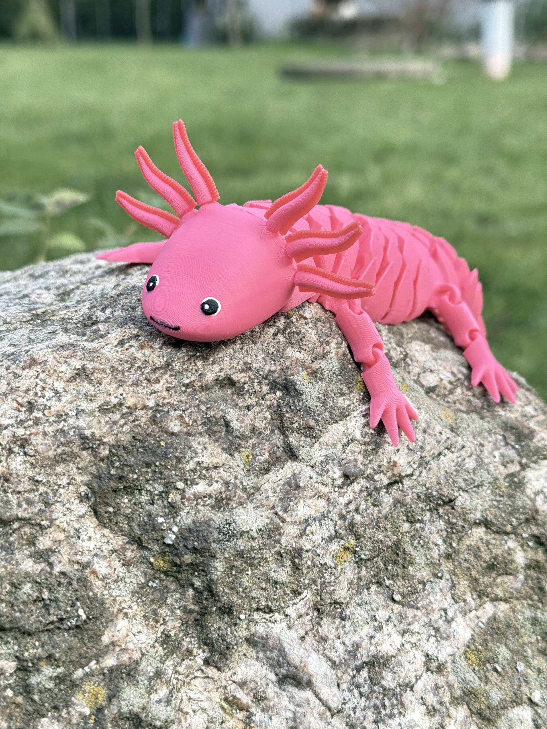 Aksolotl XL segmentowy 3D– Bajeczna, Giętka, Ruchoma Figurka, zabawka, prezent - obrazek 10