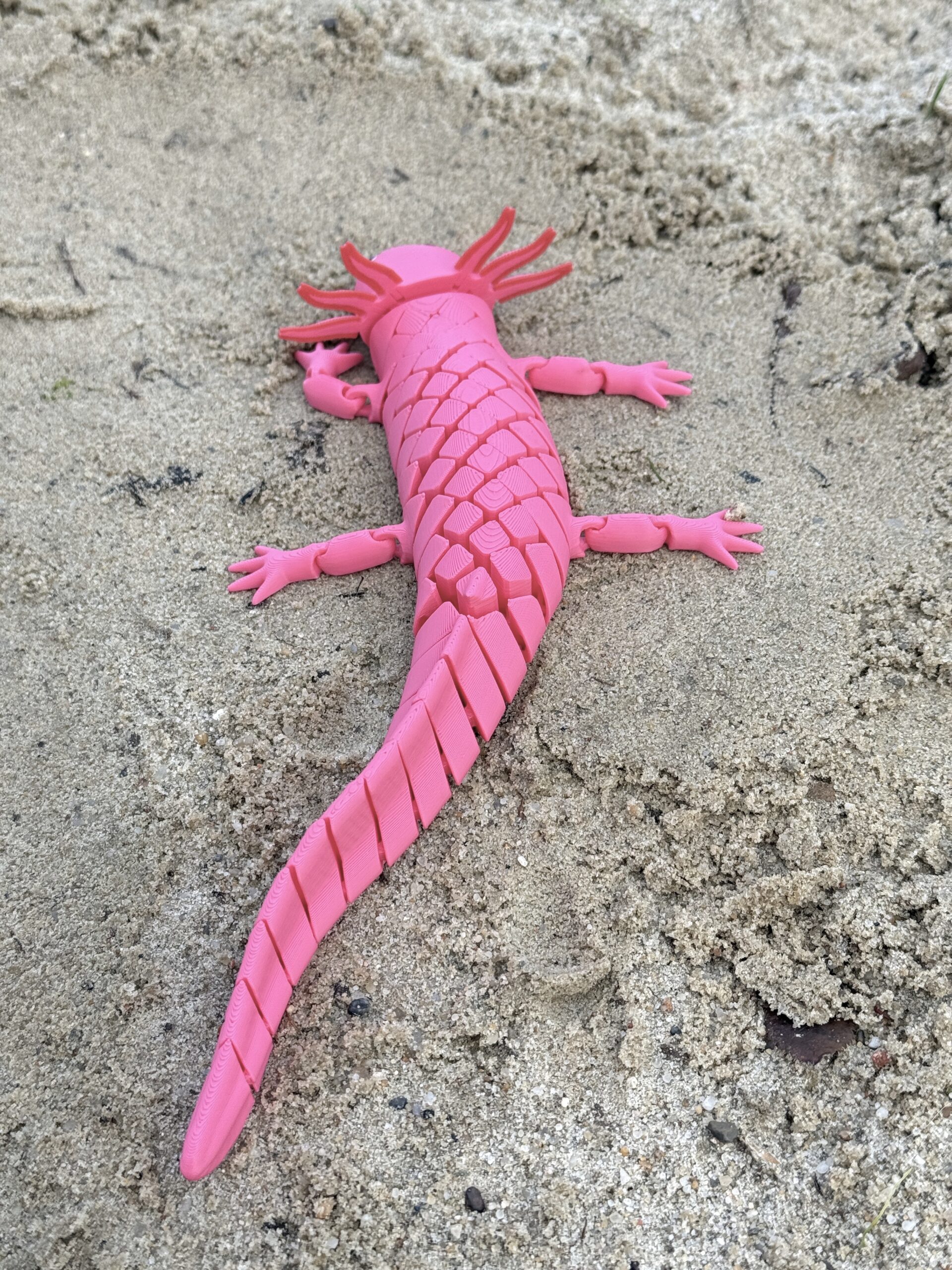 Aksolotl XL segmentowy 3D– Bajeczna, Giętka, Ruchoma Figurka, zabawka, prezent - obrazek 14