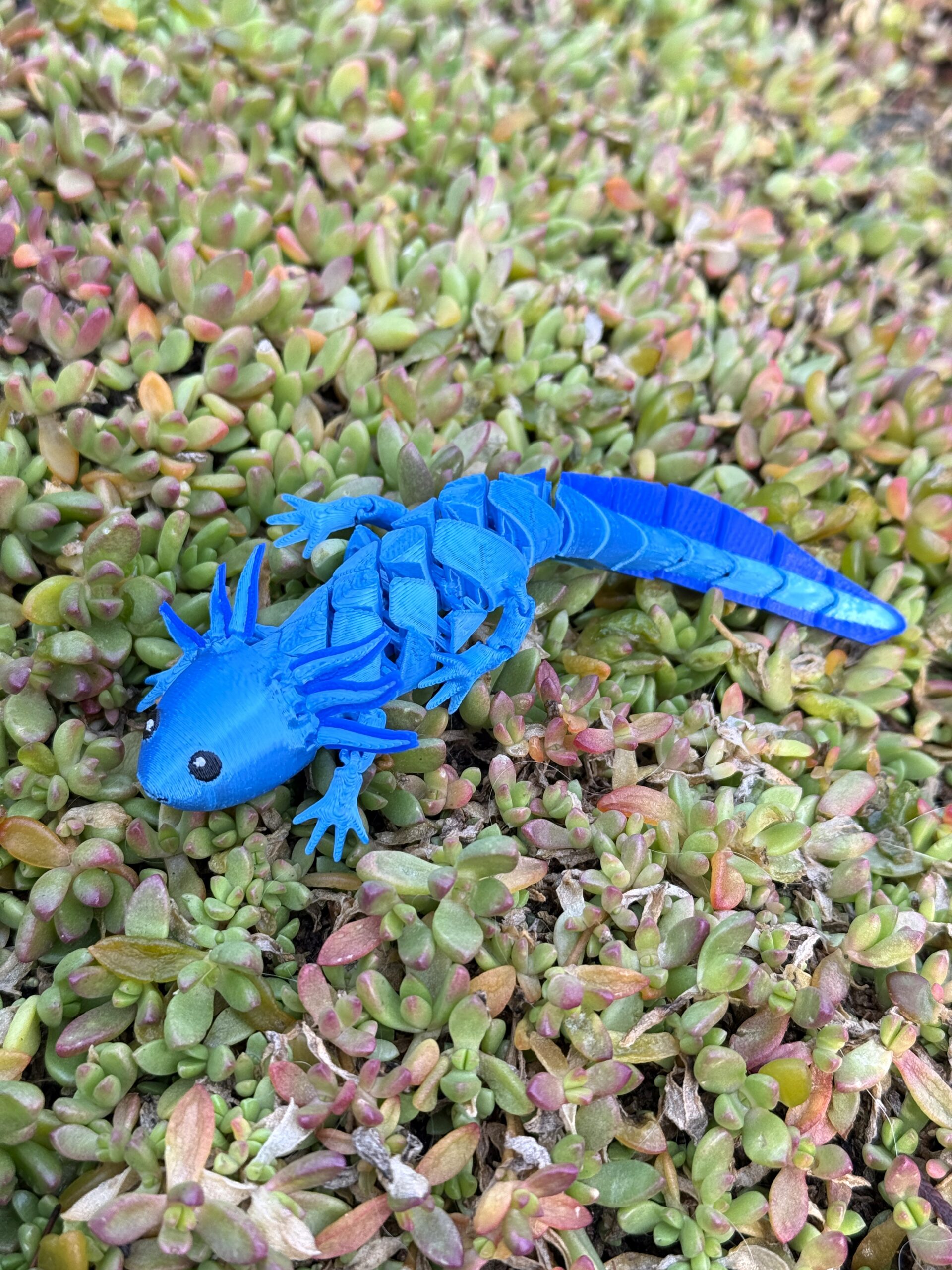 Aksolotl Baby – segmentowa, ruchoma figurka 3D z ruchomymi skrzelami! - obrazek 15