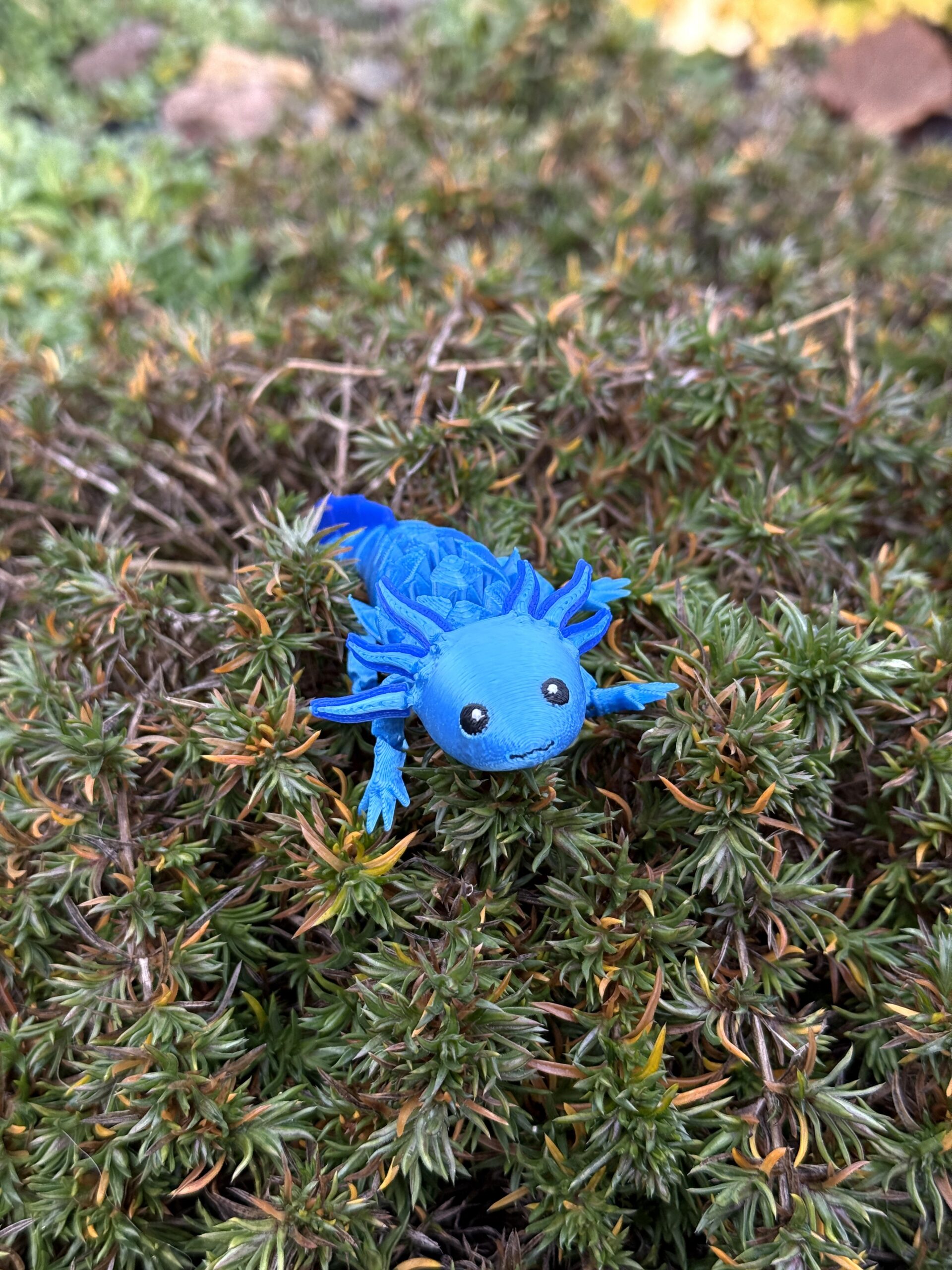 Aksolotl Baby – segmentowa, ruchoma figurka 3D z ruchomymi skrzelami! - obrazek 18