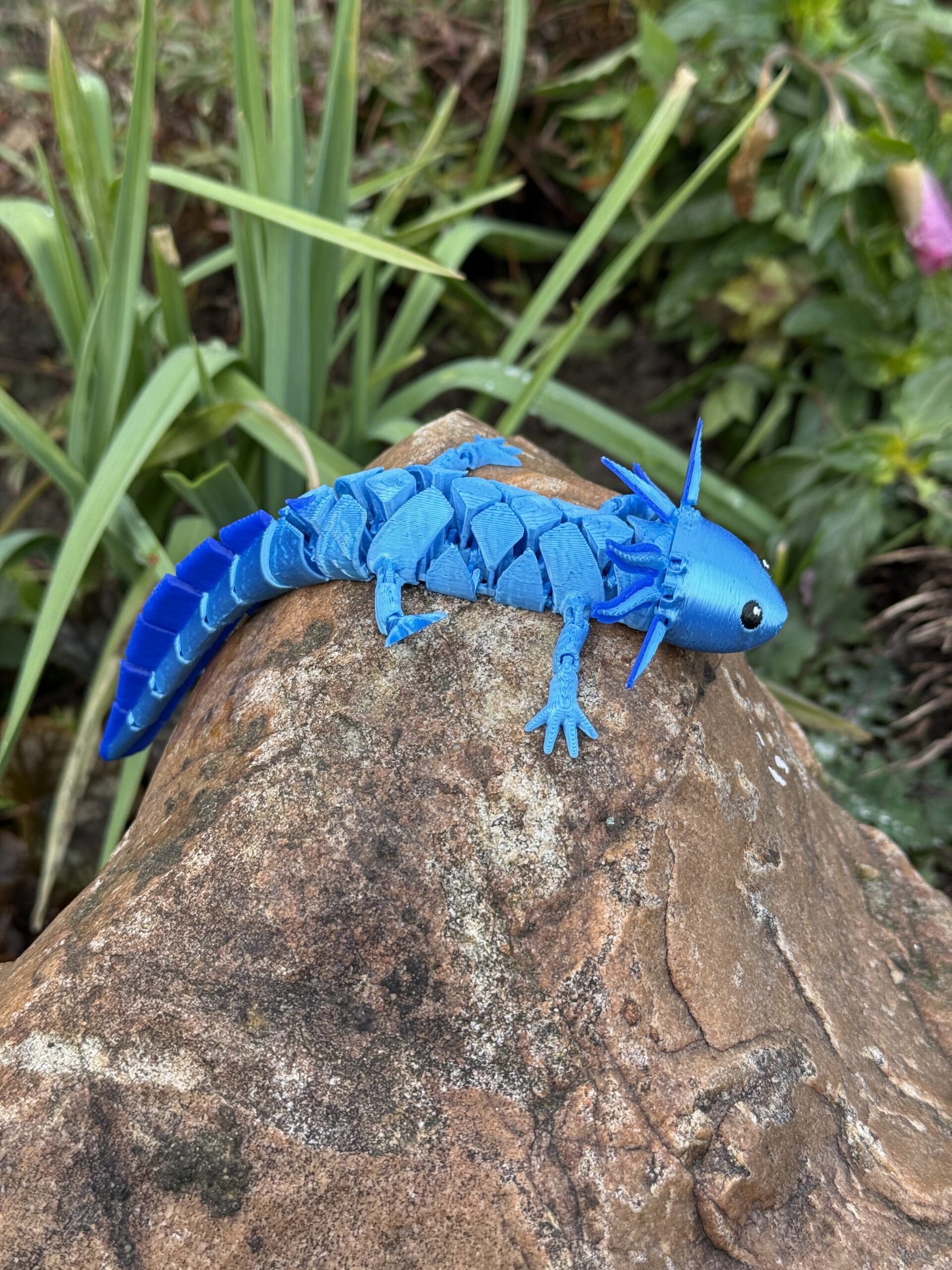 Aksolotl Baby – segmentowa, ruchoma figurka 3D z ruchomymi skrzelami! - obrazek 19