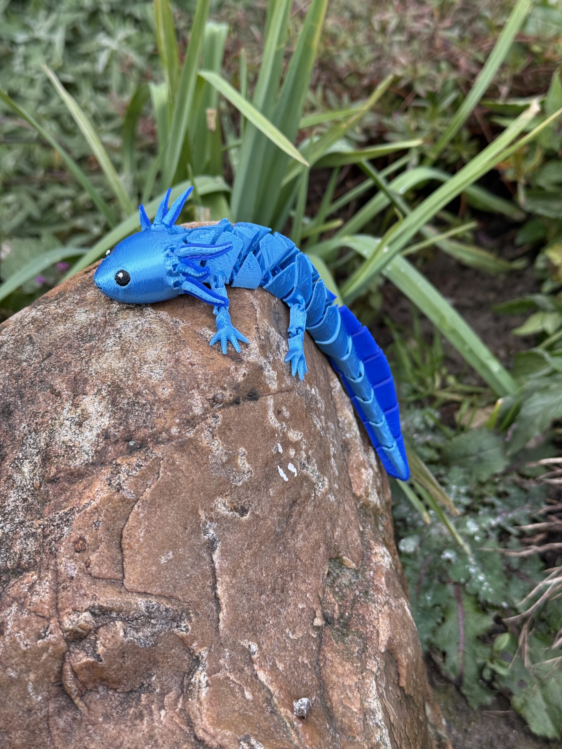 Aksolotl Baby – segmentowa, ruchoma figurka 3D z ruchomymi skrzelami! - obrazek 22