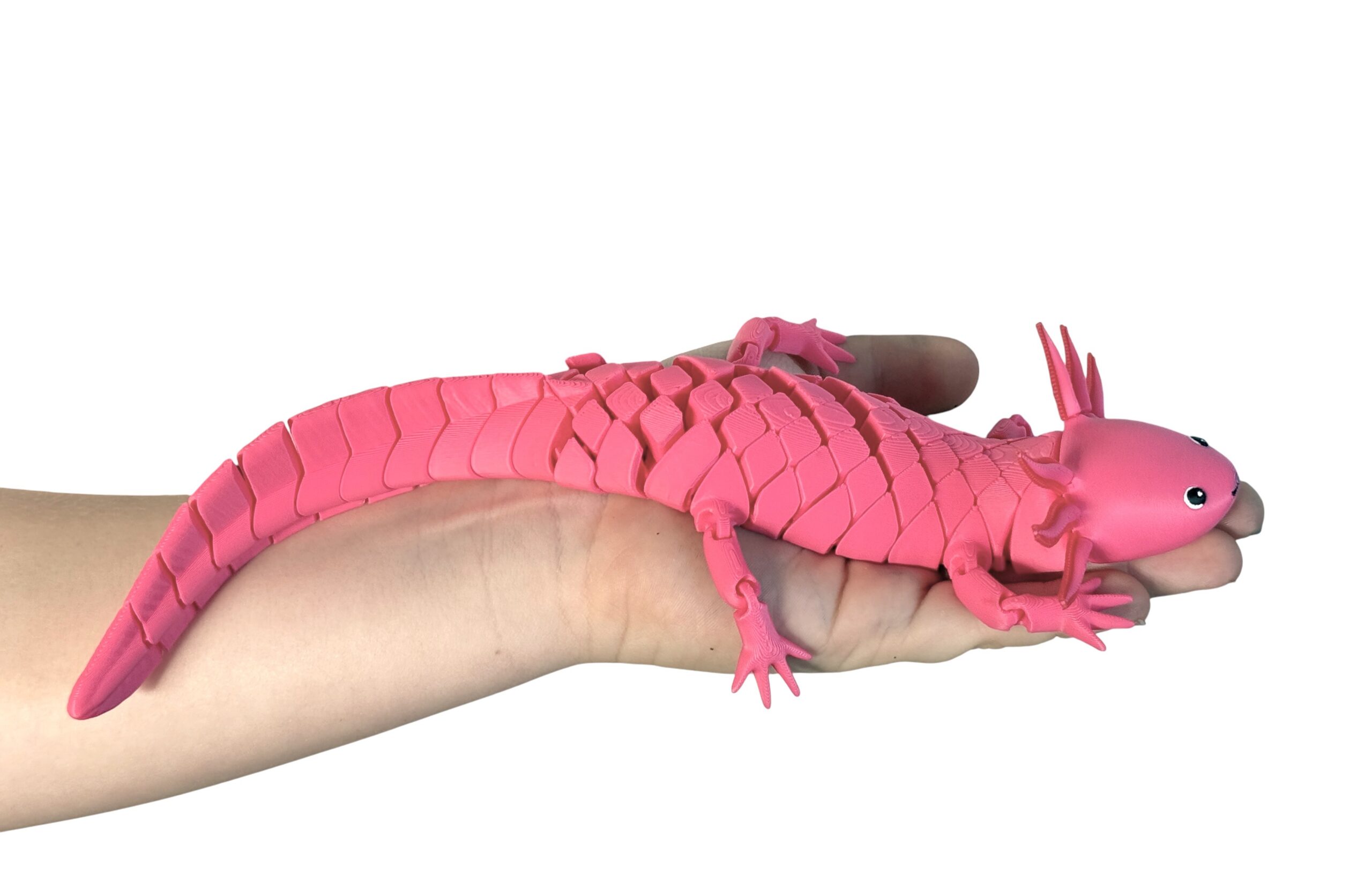 Aksolotl XL segmentowy 3D– Bajeczna, Giętka, Ruchoma Figurka, zabawka, prezent - obrazek 2