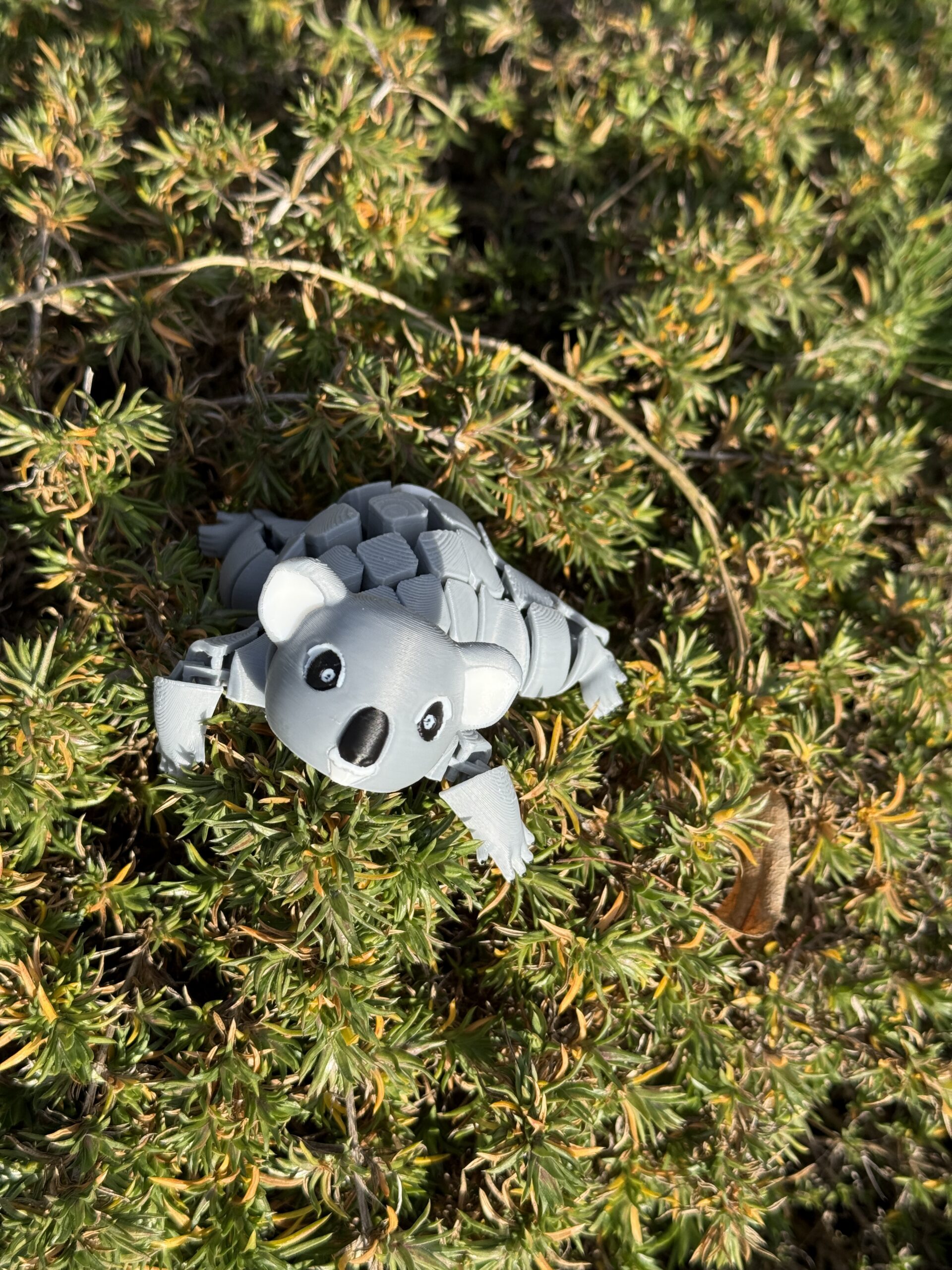 Segmentowy Koala – elastyczna, ruchoma figurka 3D, zabawka, prezent - obrazek 5