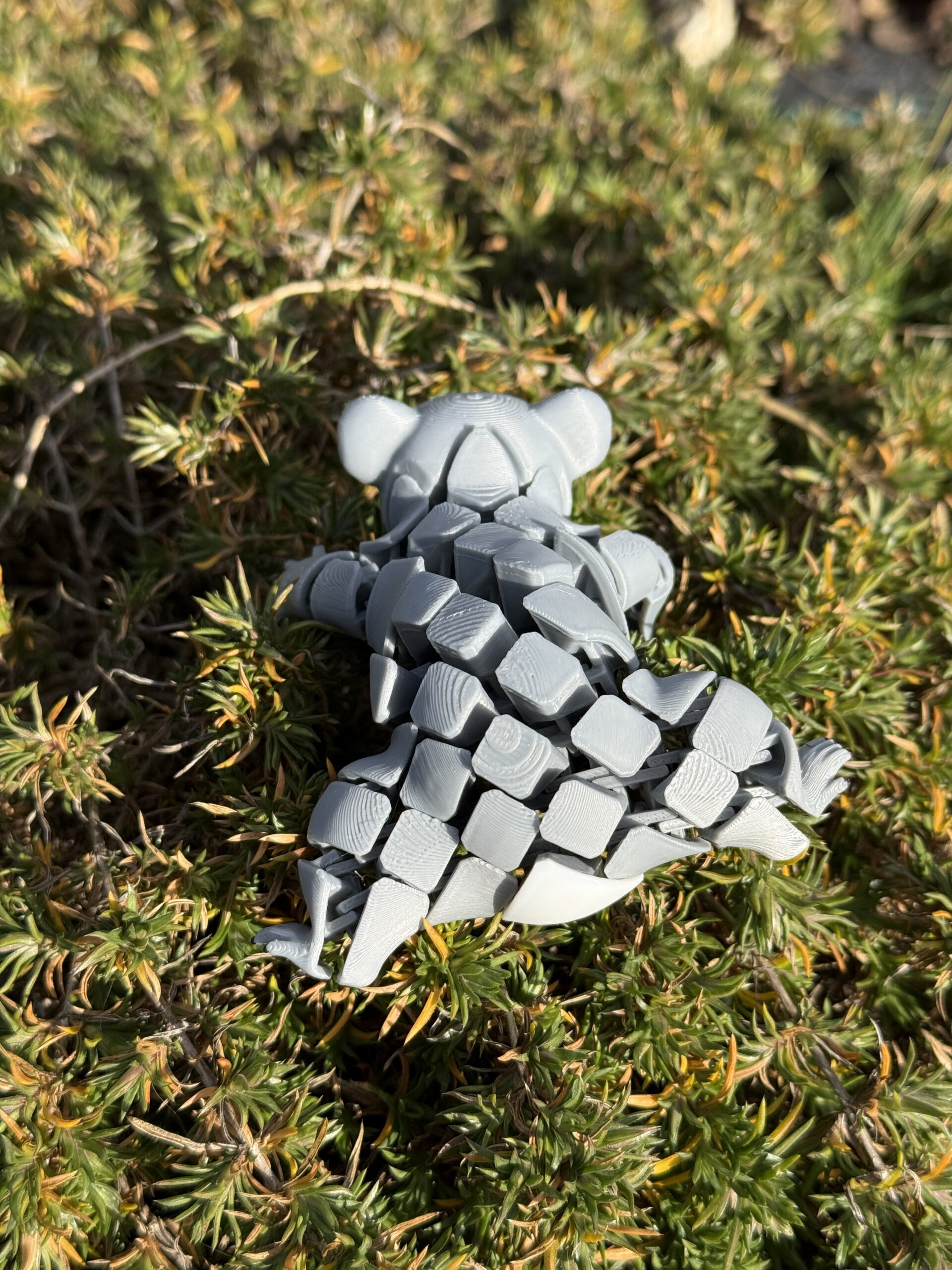 Segmentowy Koala – elastyczna, ruchoma figurka 3D, zabawka, prezent - obrazek 8