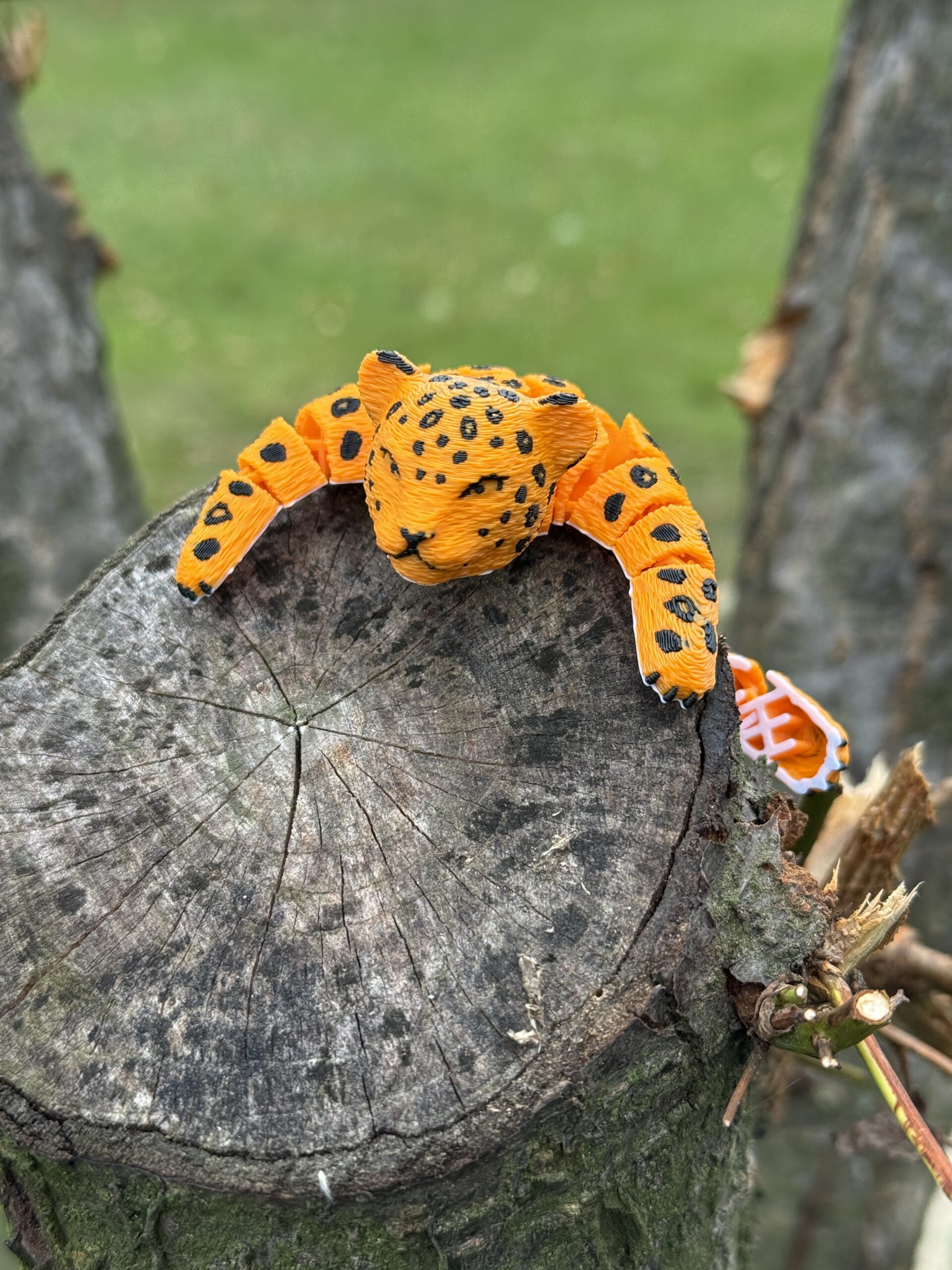 Lampart Plamisty 3D – Segmentowa, Ruchoma Figurka, zabawka - obrazek 6