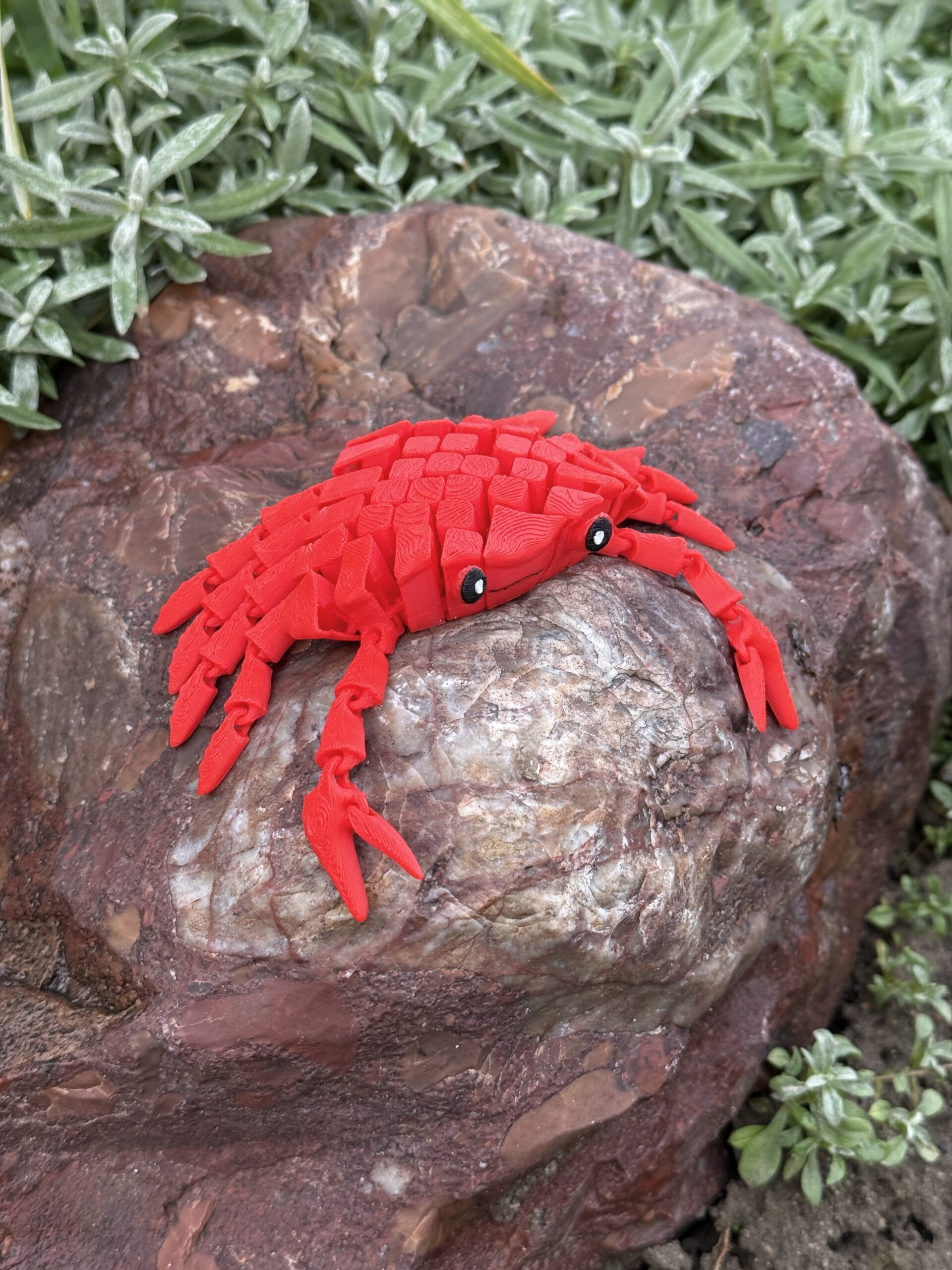 Słodki segmentowy Krab 3D – urocza, elastyczna figurka 3D z ruchomymi szczypcami, zabawka - obrazek 3