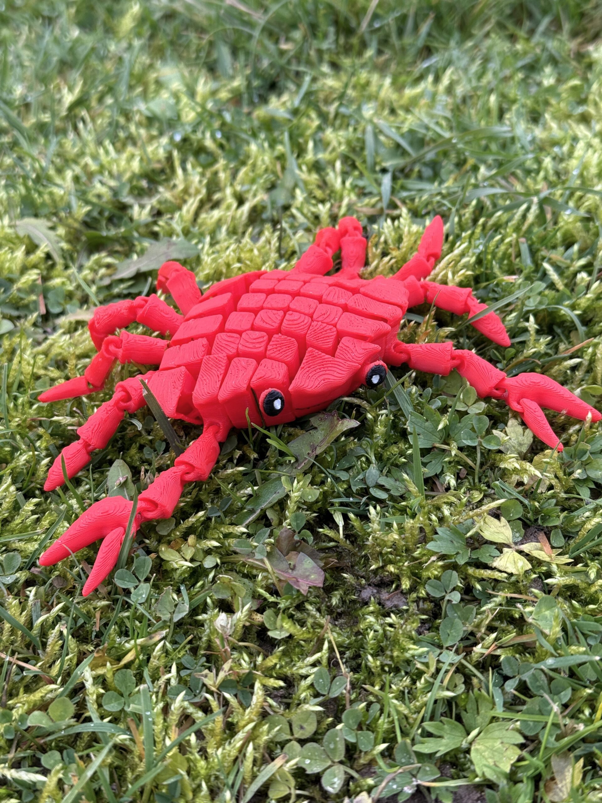 Słodki segmentowy Krab 3D – urocza, elastyczna figurka 3D z ruchomymi szczypcami, zabawka - obrazek 6