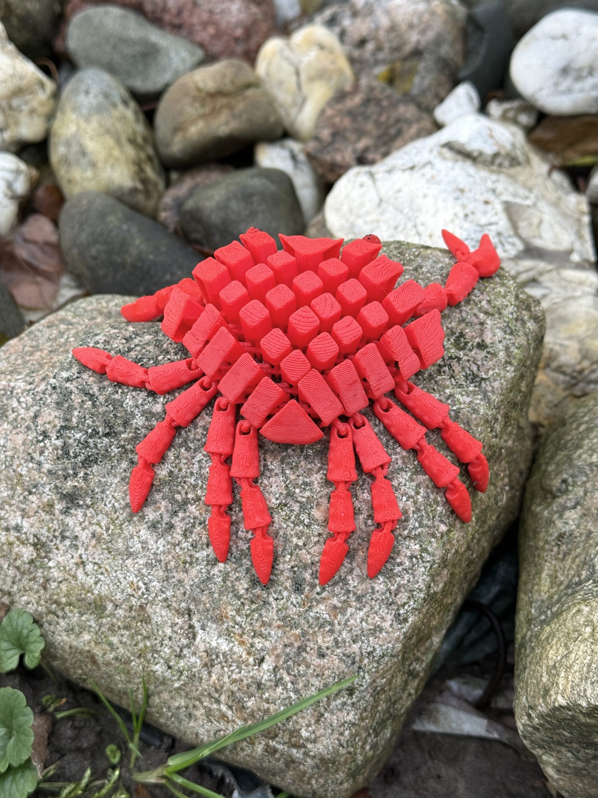 Słodki segmentowy Krab 3D – urocza, elastyczna figurka 3D z ruchomymi szczypcami, zabawka - obrazek 8