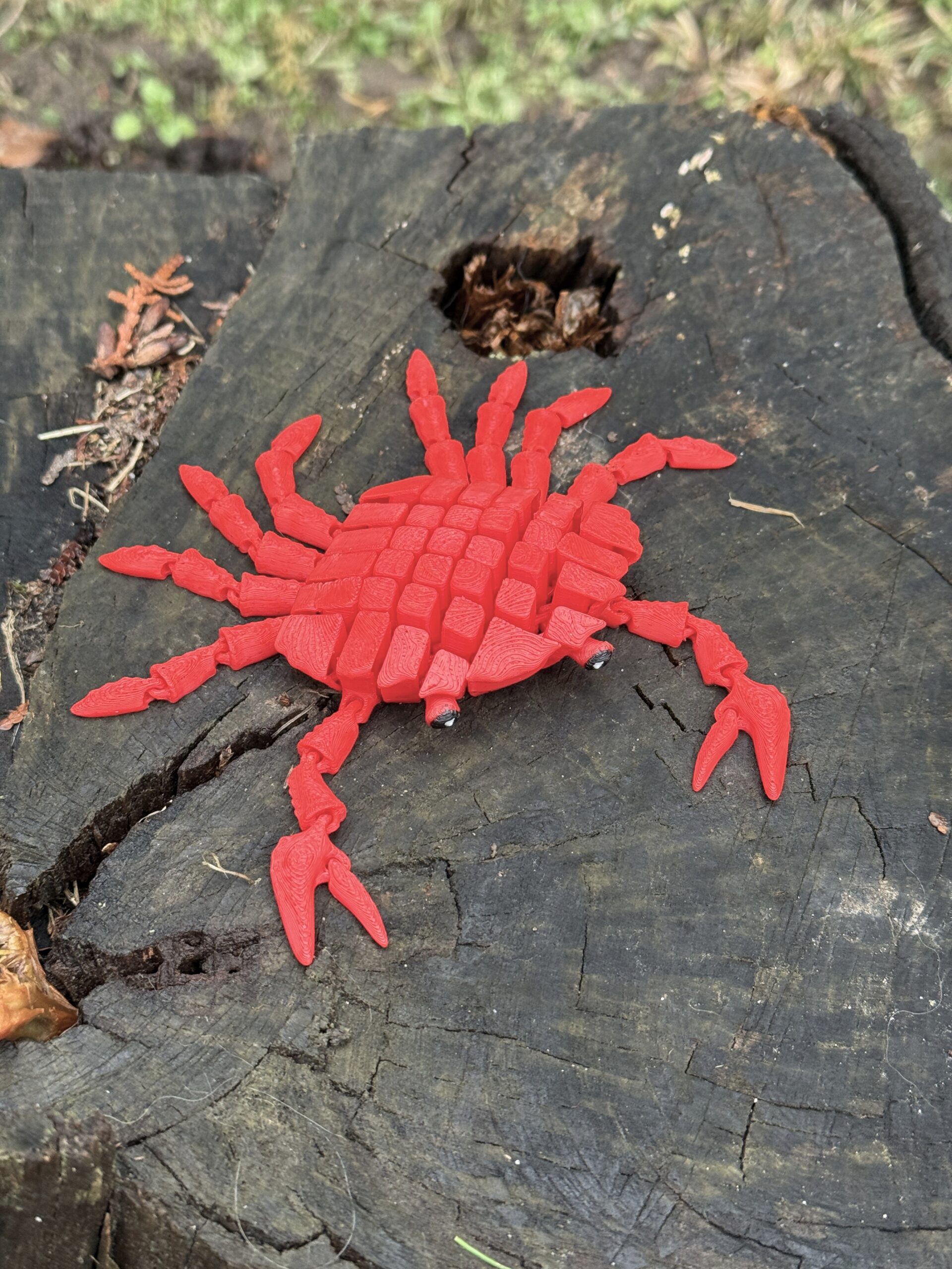 Słodki segmentowy Krab 3D – urocza, elastyczna figurka 3D z ruchomymi szczypcami, zabawka - obrazek 9