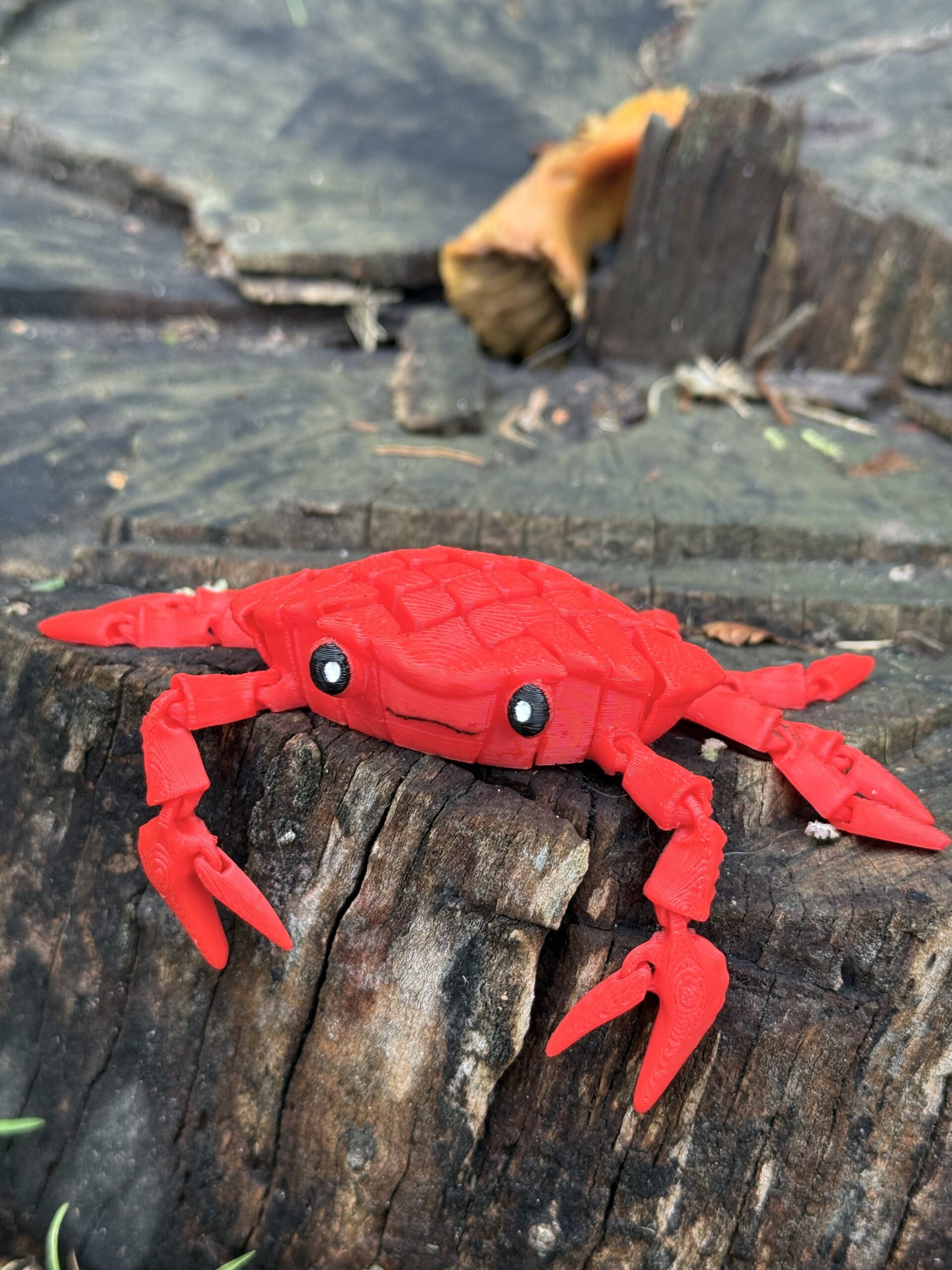 Słodki segmentowy Krab 3D – urocza, elastyczna figurka 3D z ruchomymi szczypcami, zabawka - obrazek 10