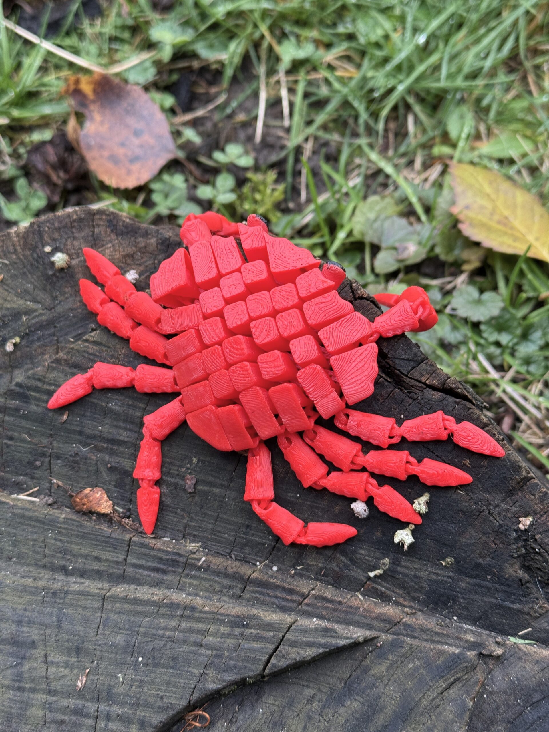 Słodki segmentowy Krab 3D – urocza, elastyczna figurka 3D z ruchomymi szczypcami, zabawka - obrazek 11