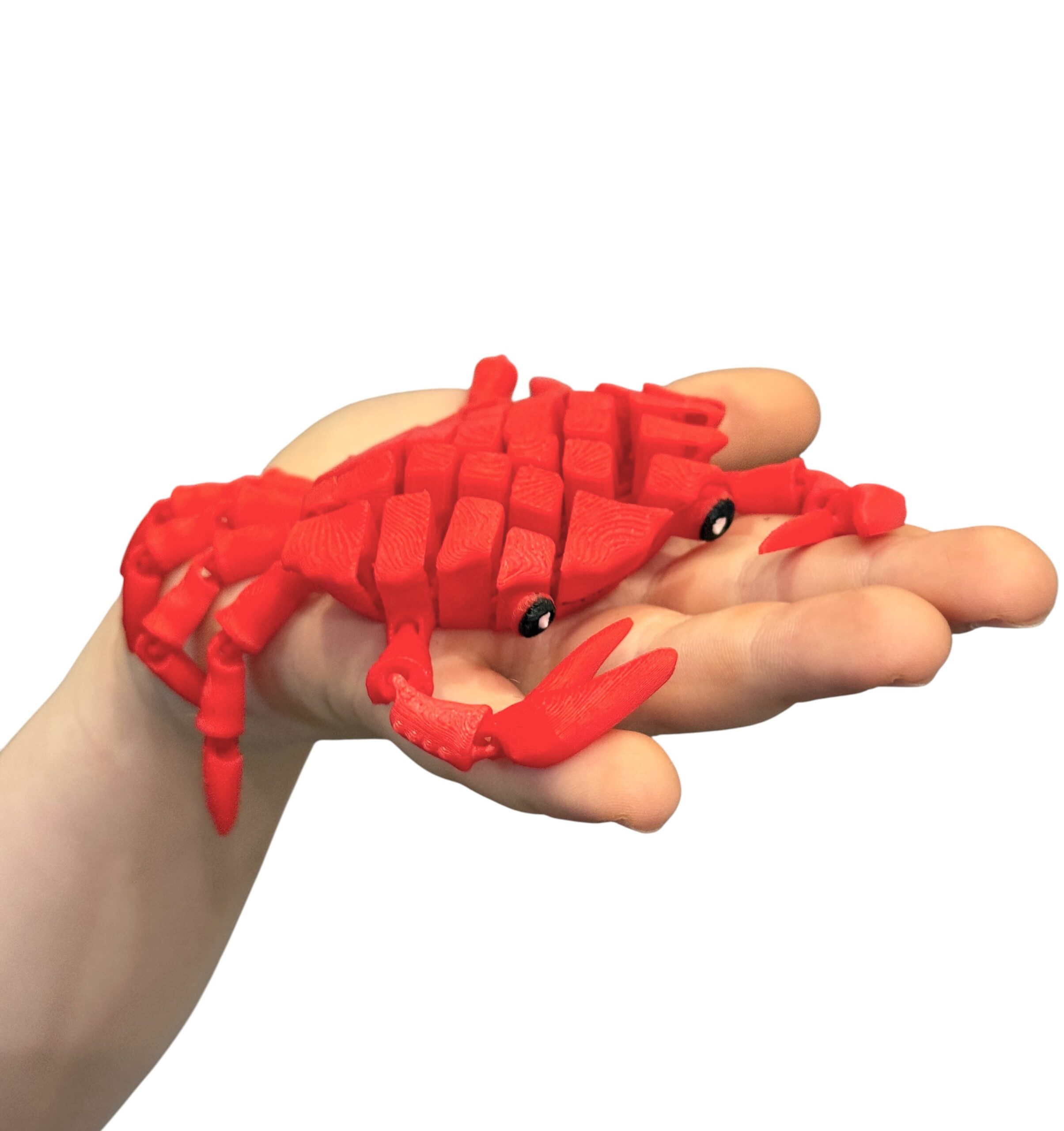 Słodki segmentowy Krab 3D – urocza, elastyczna figurka 3D z ruchomymi szczypcami, zabawka - obrazek 16