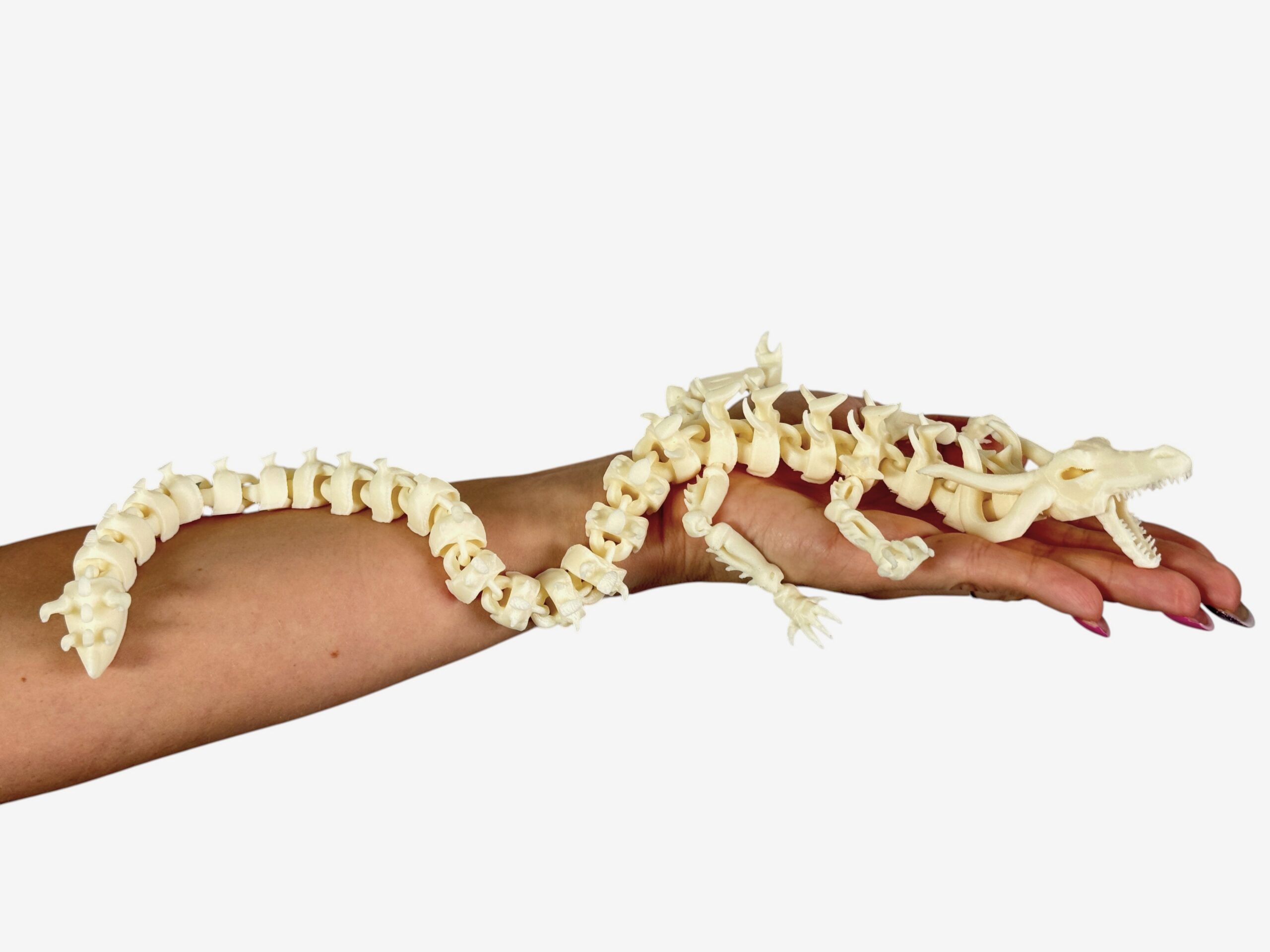 Szkieletowy Smok – przegubowa figura 3D zrodzona z mroku i pradawnych szkieletów - obrazek 3