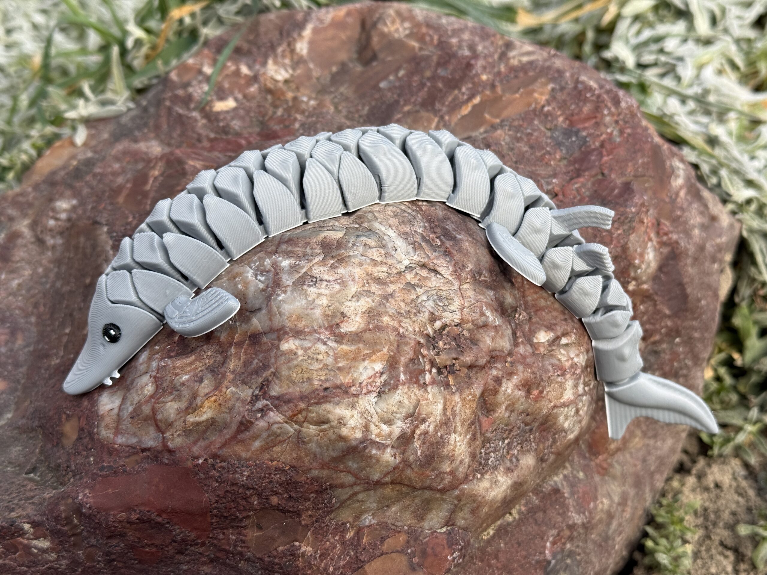 Segmentowa ryba Jesiotr 3D– figurka segmentowa, ruchoma 20 cm, zabawka - obrazek 8