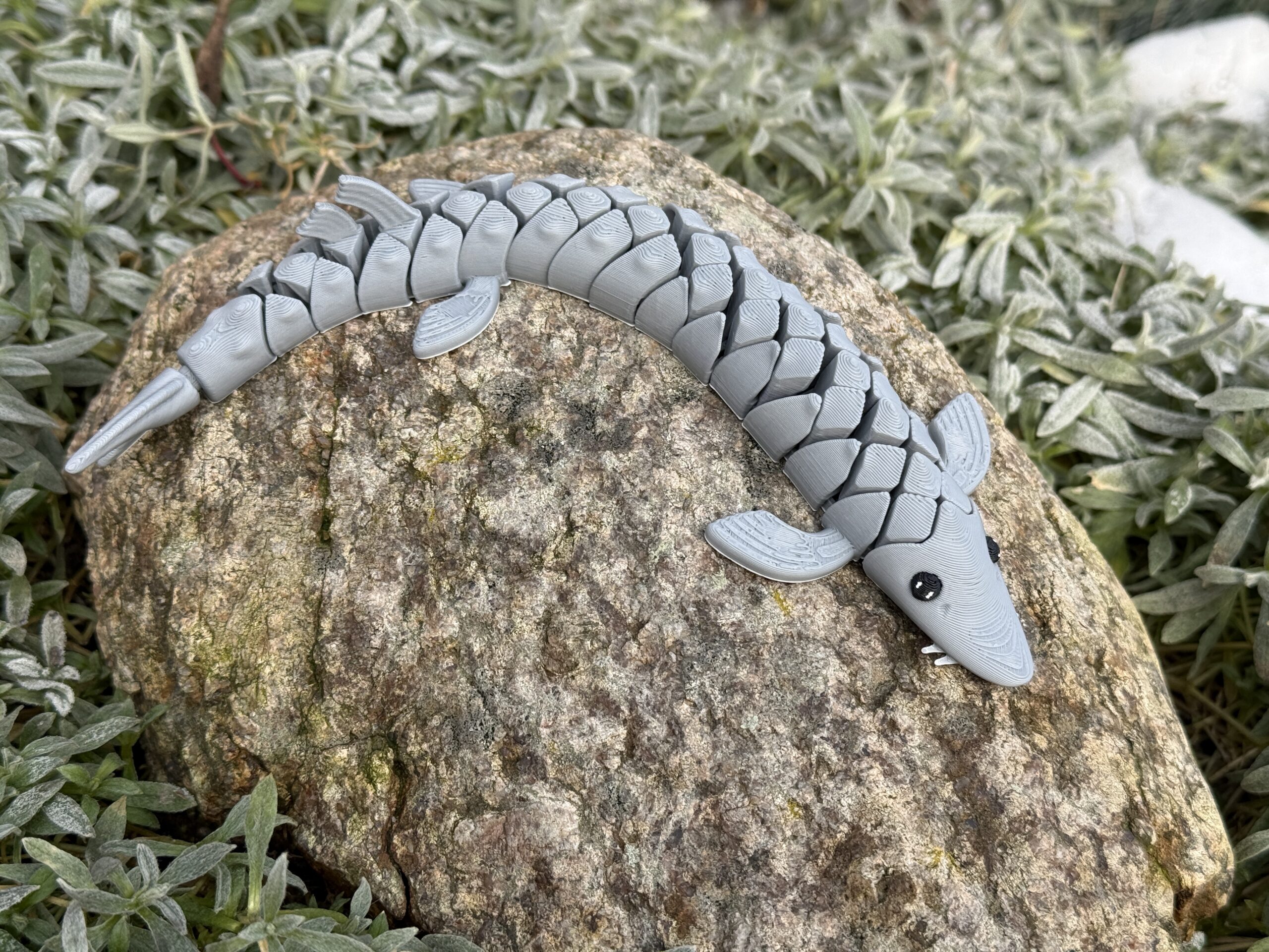 Segmentowa ryba Jesiotr 3D– figurka segmentowa, ruchoma 20 cm, zabawka - obrazek 11