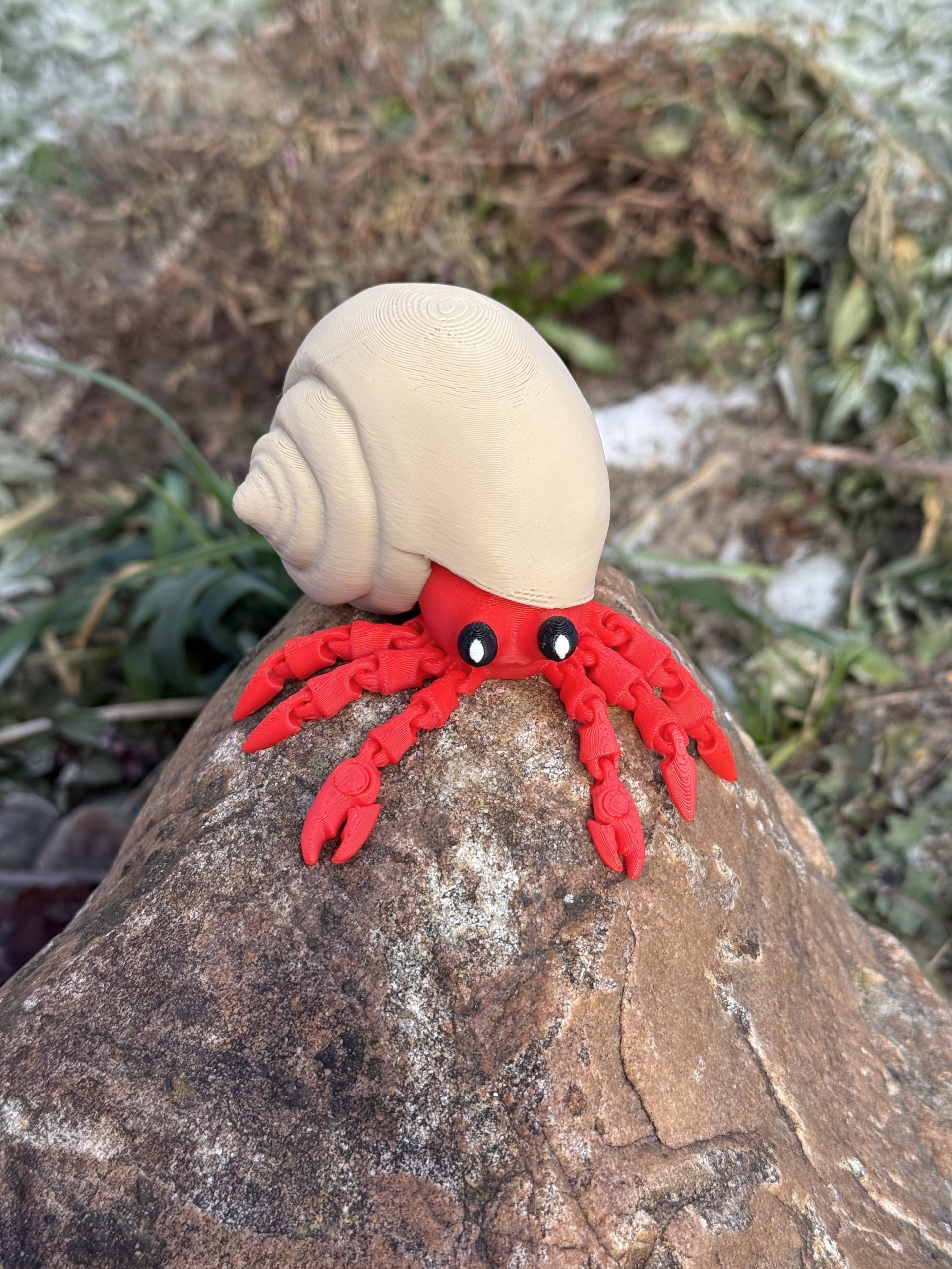 Krab pustelnik w muszli 3D – przegubowa figurka z ruchomymi szczypcami, zabawka, prezent - obrazek 10